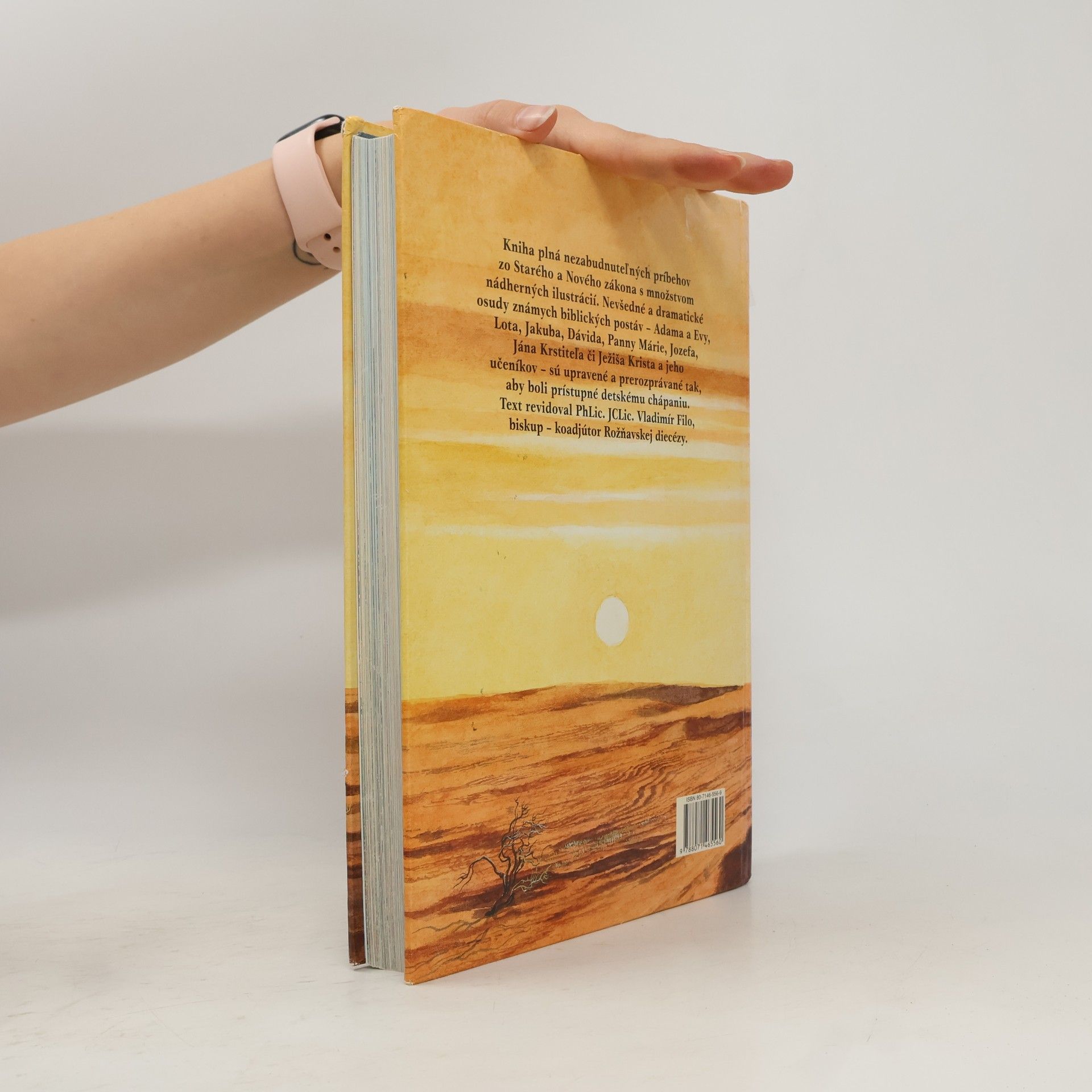 Iveta Pijáková Detská ilustrovaná Biblia