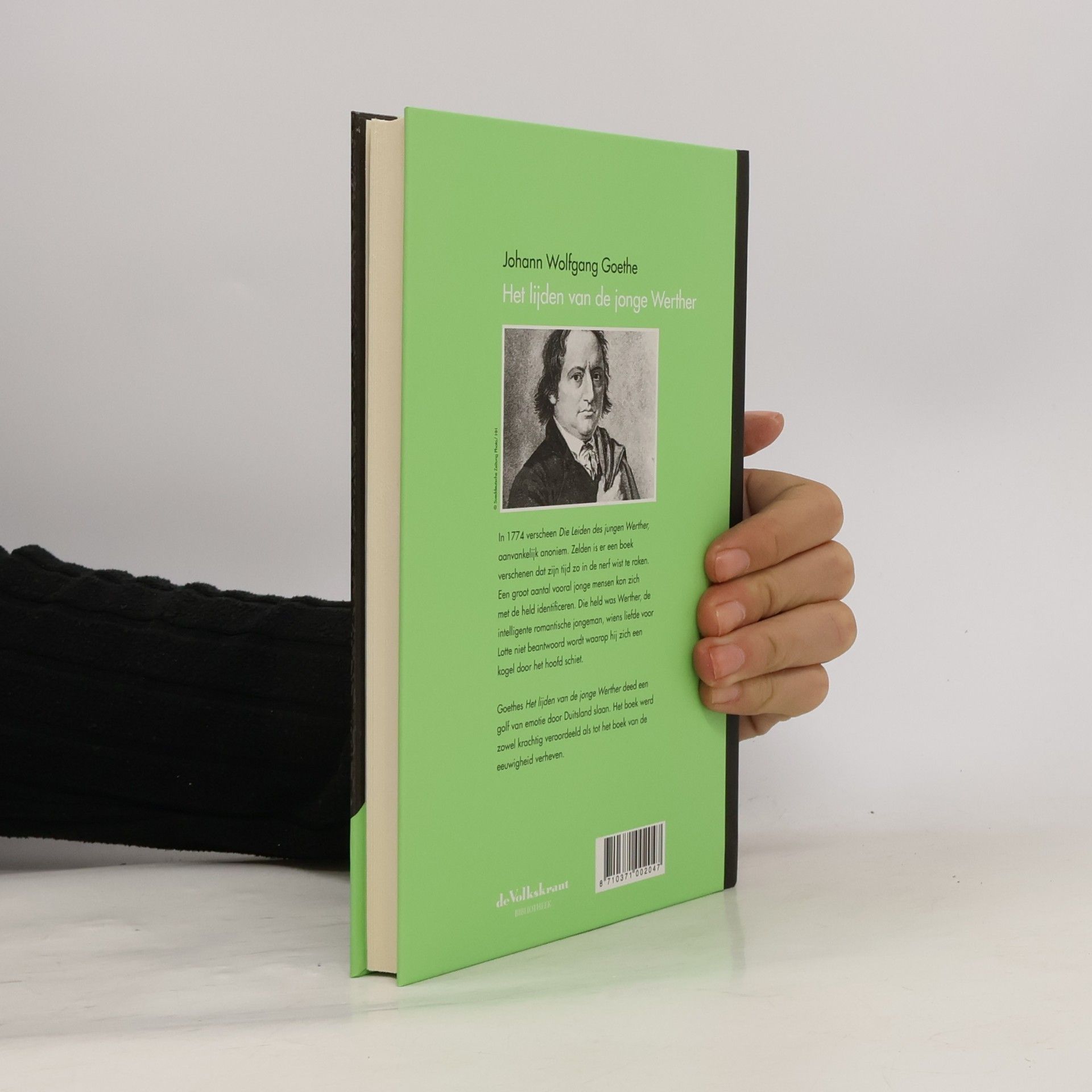 Johann Wolfgang von Goethe Het lijden van de jonge Werther