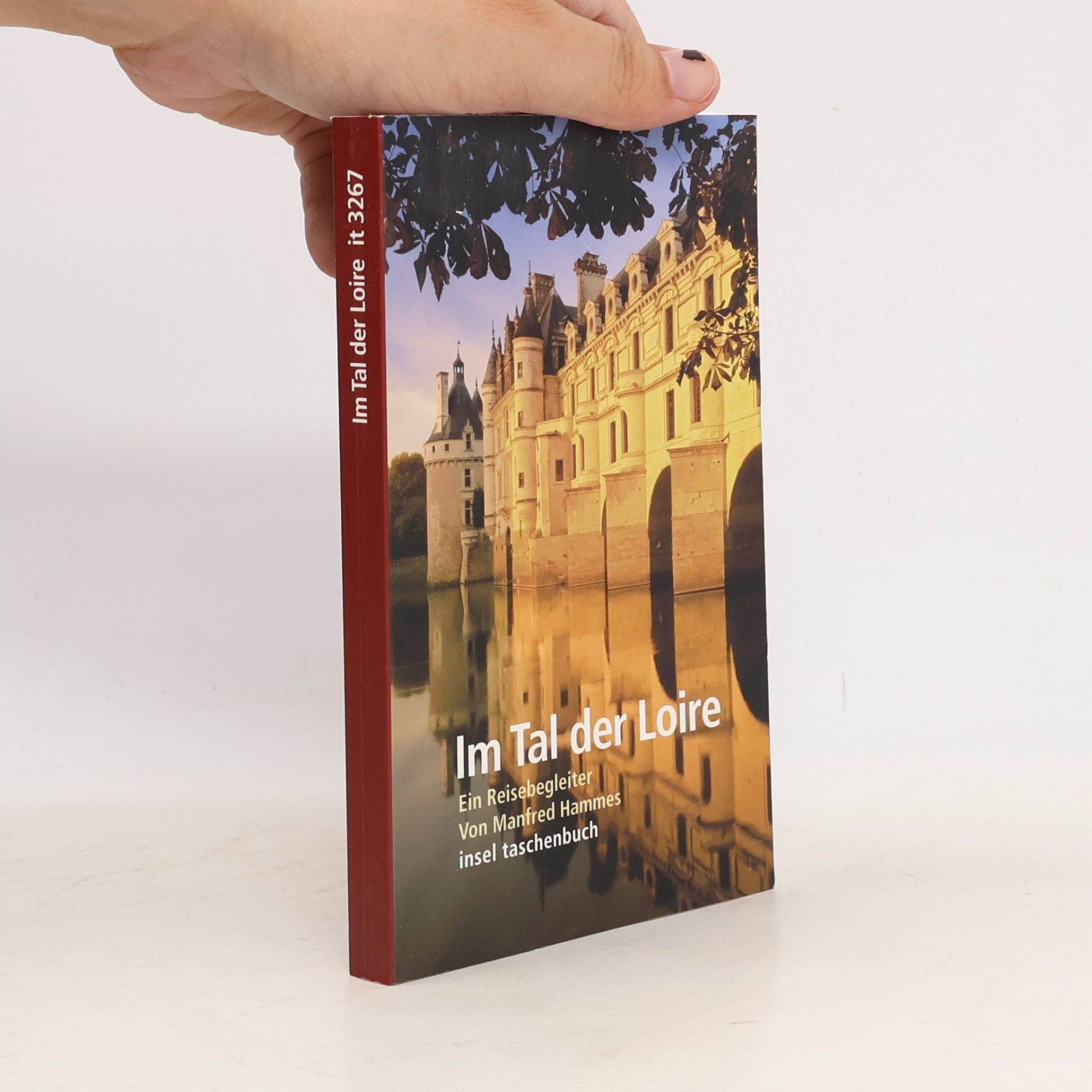 Manfred Hammes Insel Taschenbuch - 3267: Im Tal der Loire