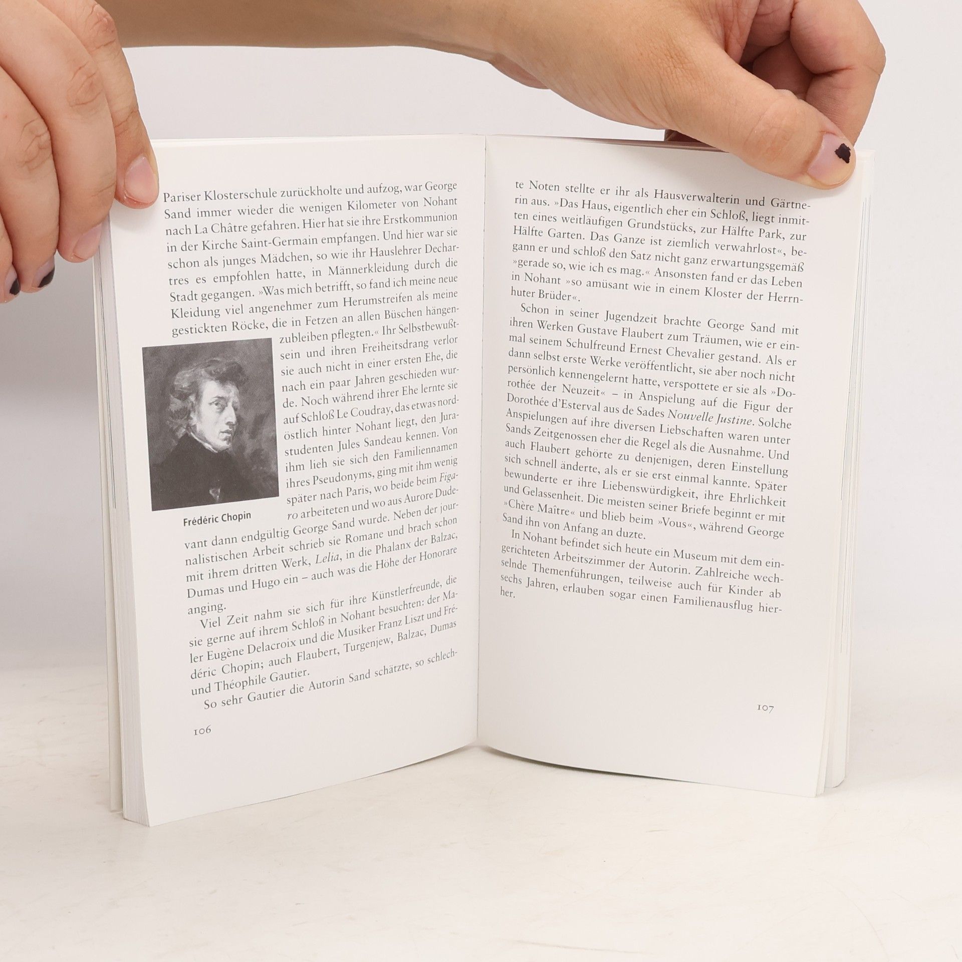 Manfred Hammes Insel Taschenbuch - 3267: Im Tal der Loire