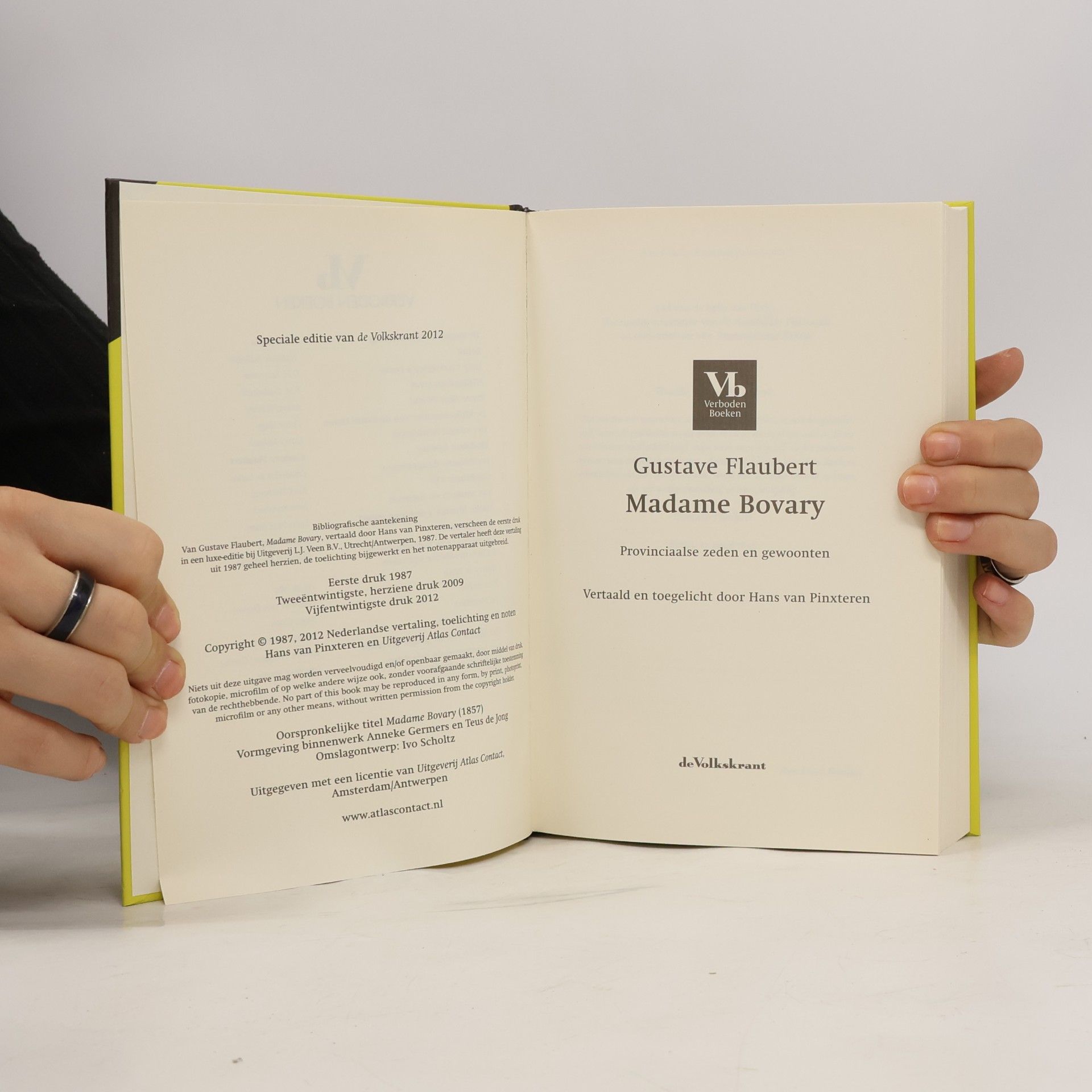 Gustave Flaubert Madame Bovary