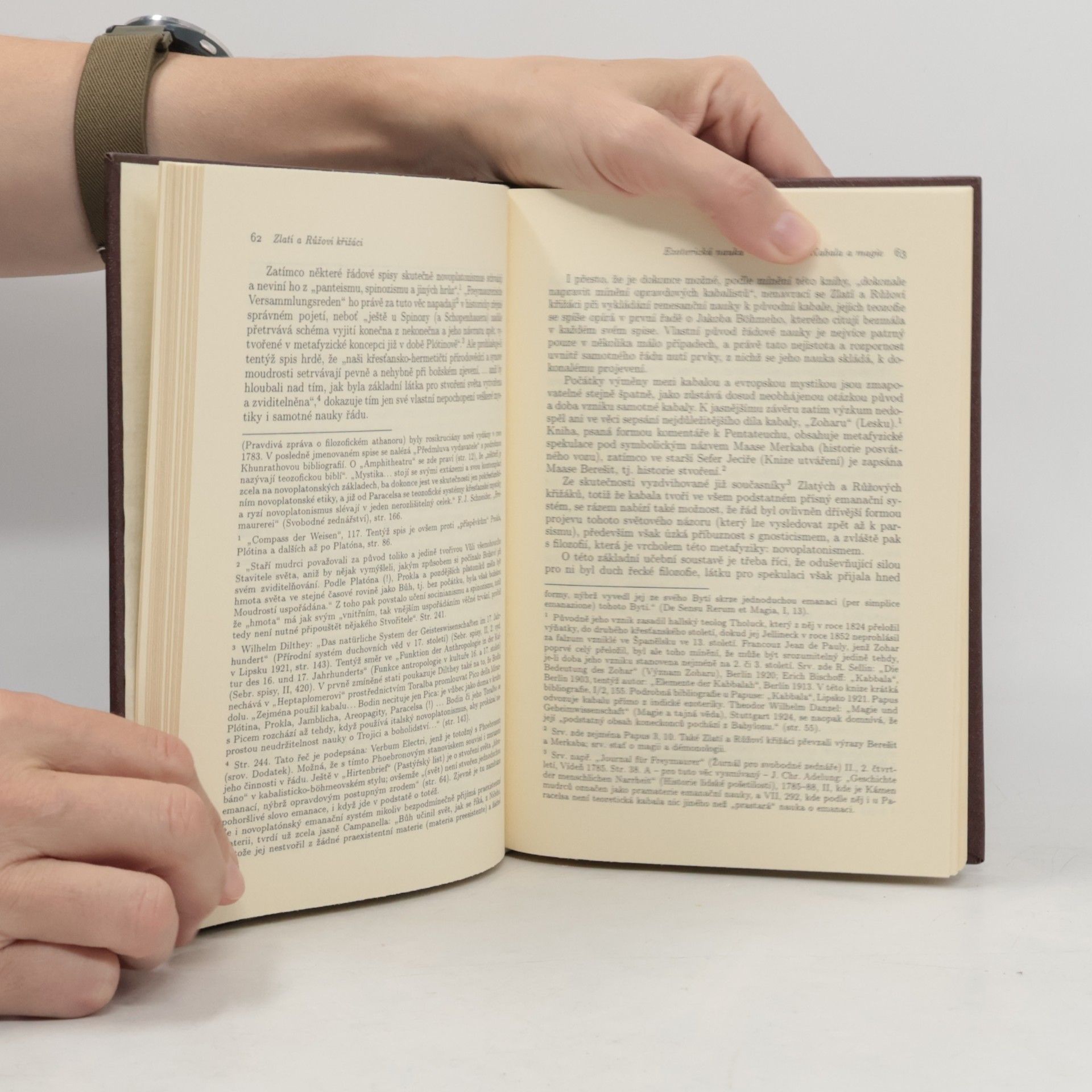 Arnold Marx Zlatí a Růžoví křižáci. Německý mysterijní spolek z konce 18. století