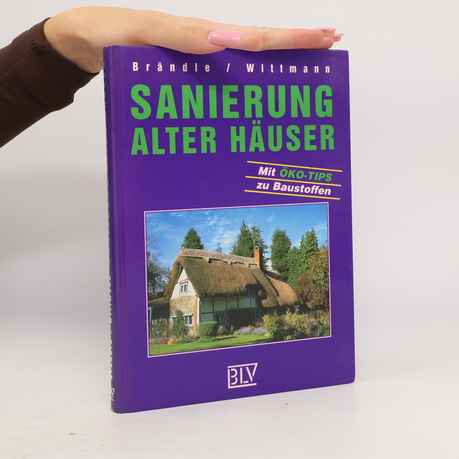 Evemarie Brändle Sanierung alter Häuser