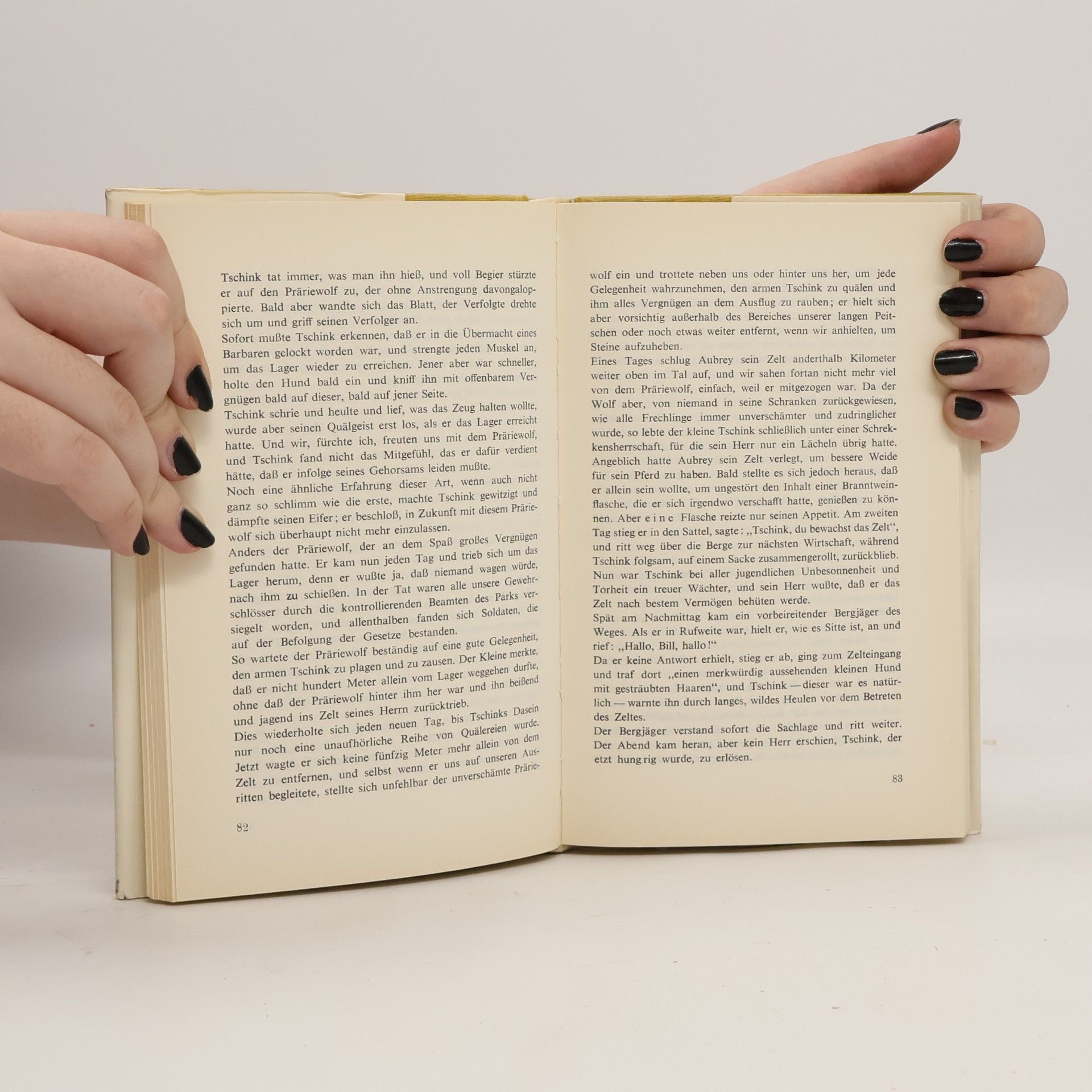Autores varios Die schönsten Tiergeschichten der Welt
