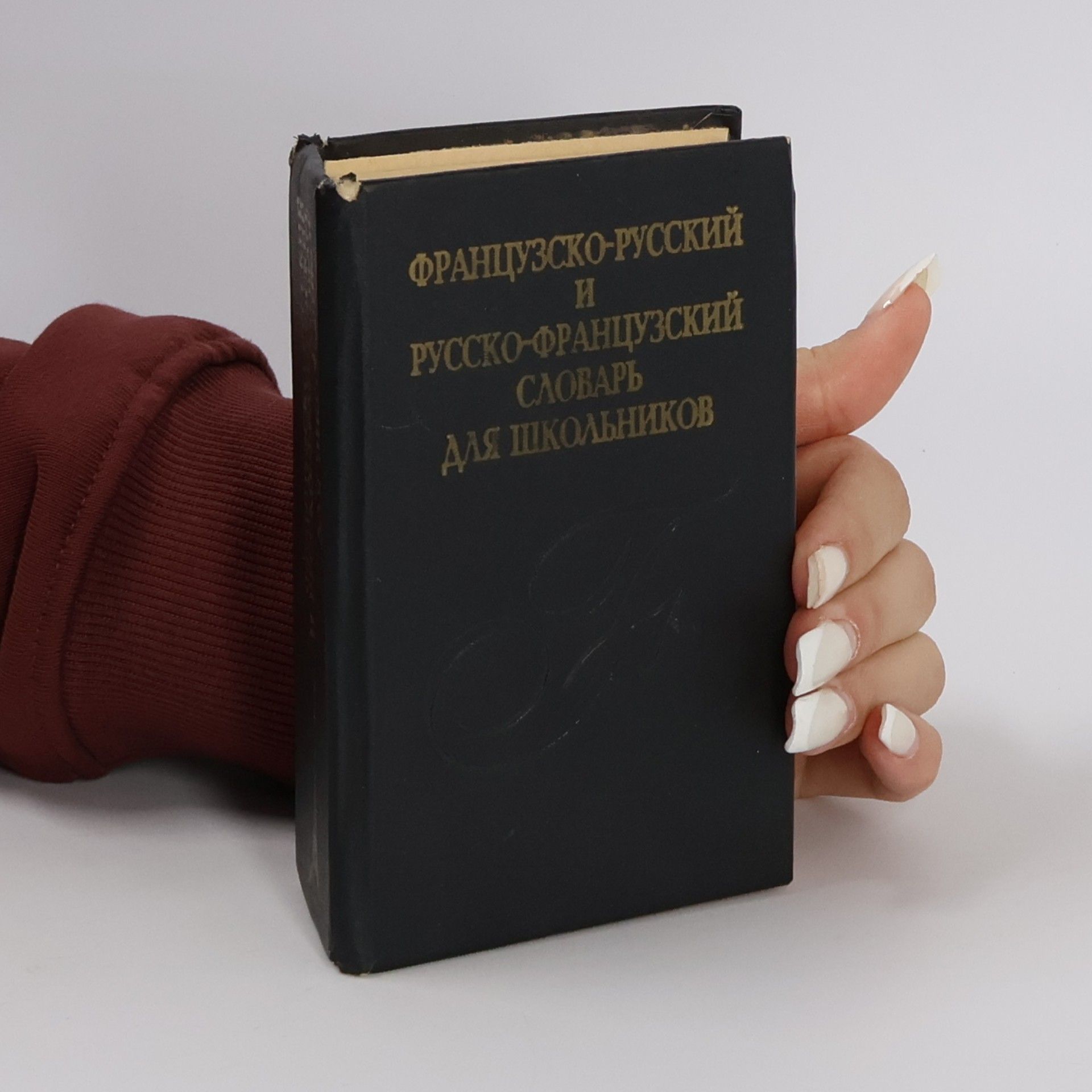 S. G. Syčev Французско-русский словарь и Русско-французский словарь