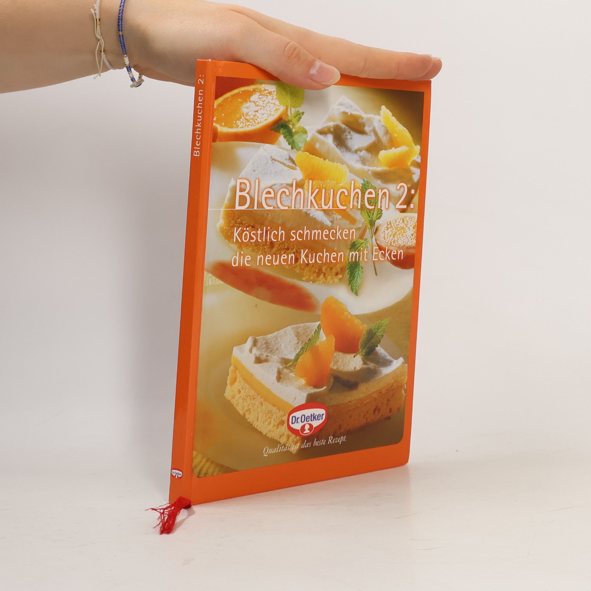 Kolektiv autorů Blechkuchen 2