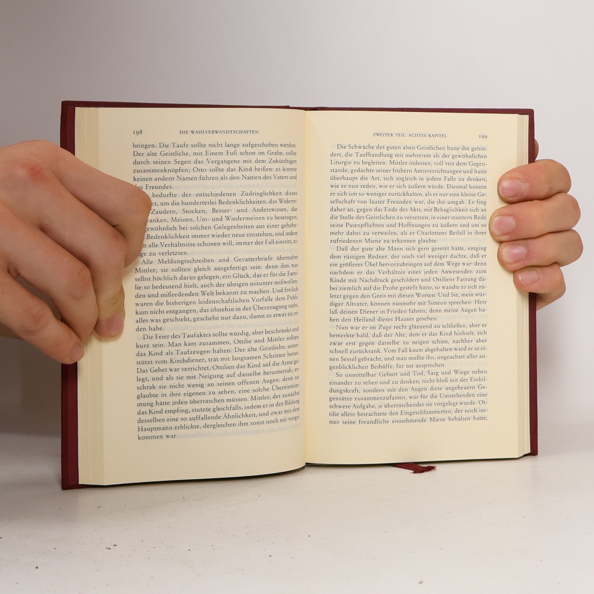 Johann Wolfgang von Goethe Goethe Werke IV/IV 12