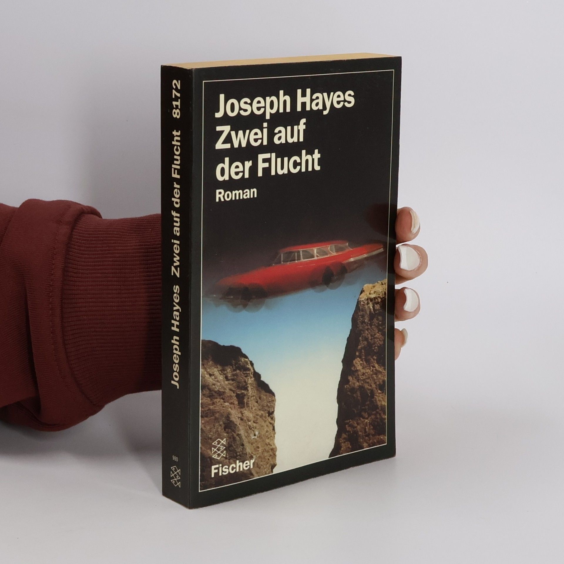 Joseph Hayes Zwei auf der Flucht