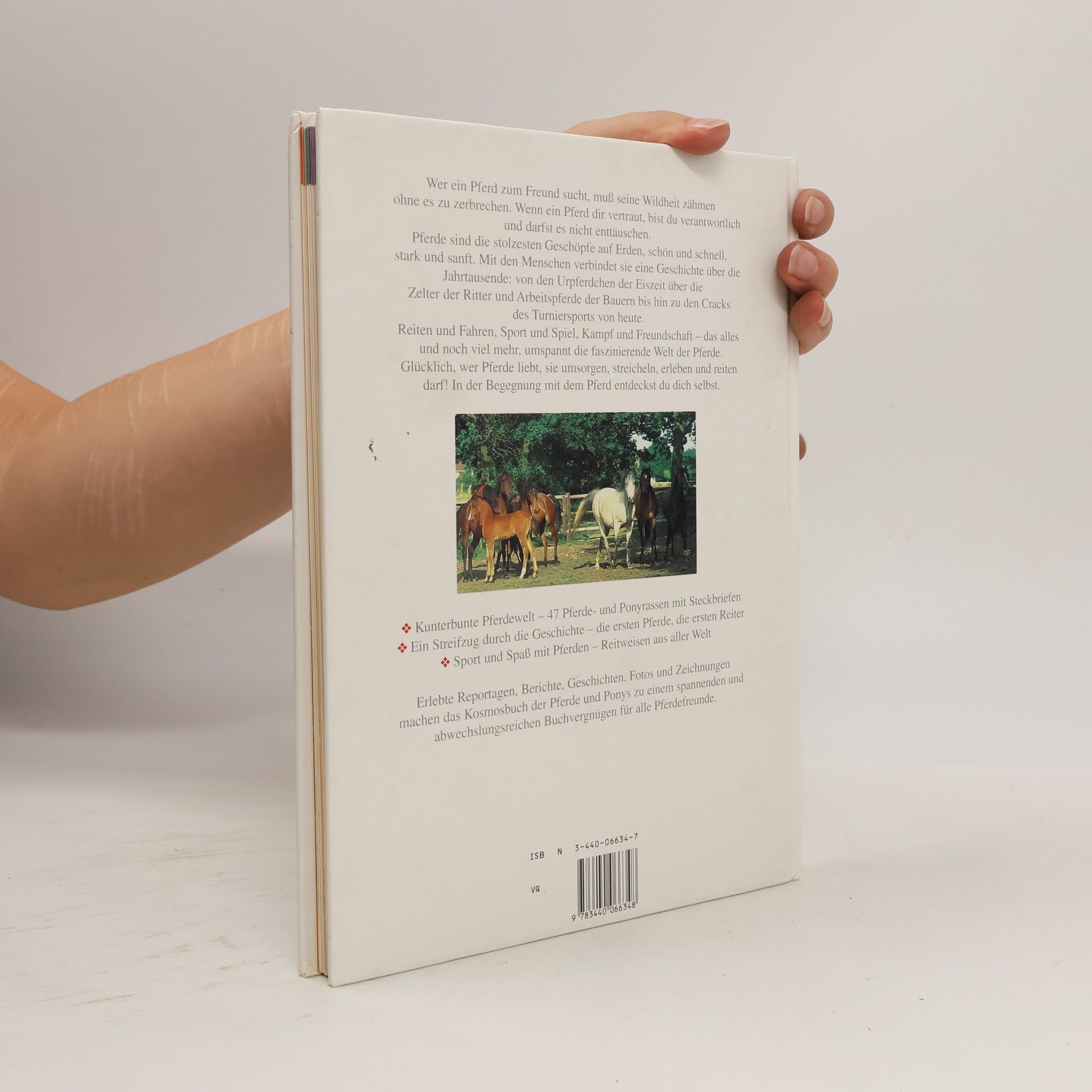 Christiane Gohl Das Kosmos-Buch der Pferde und Ponys