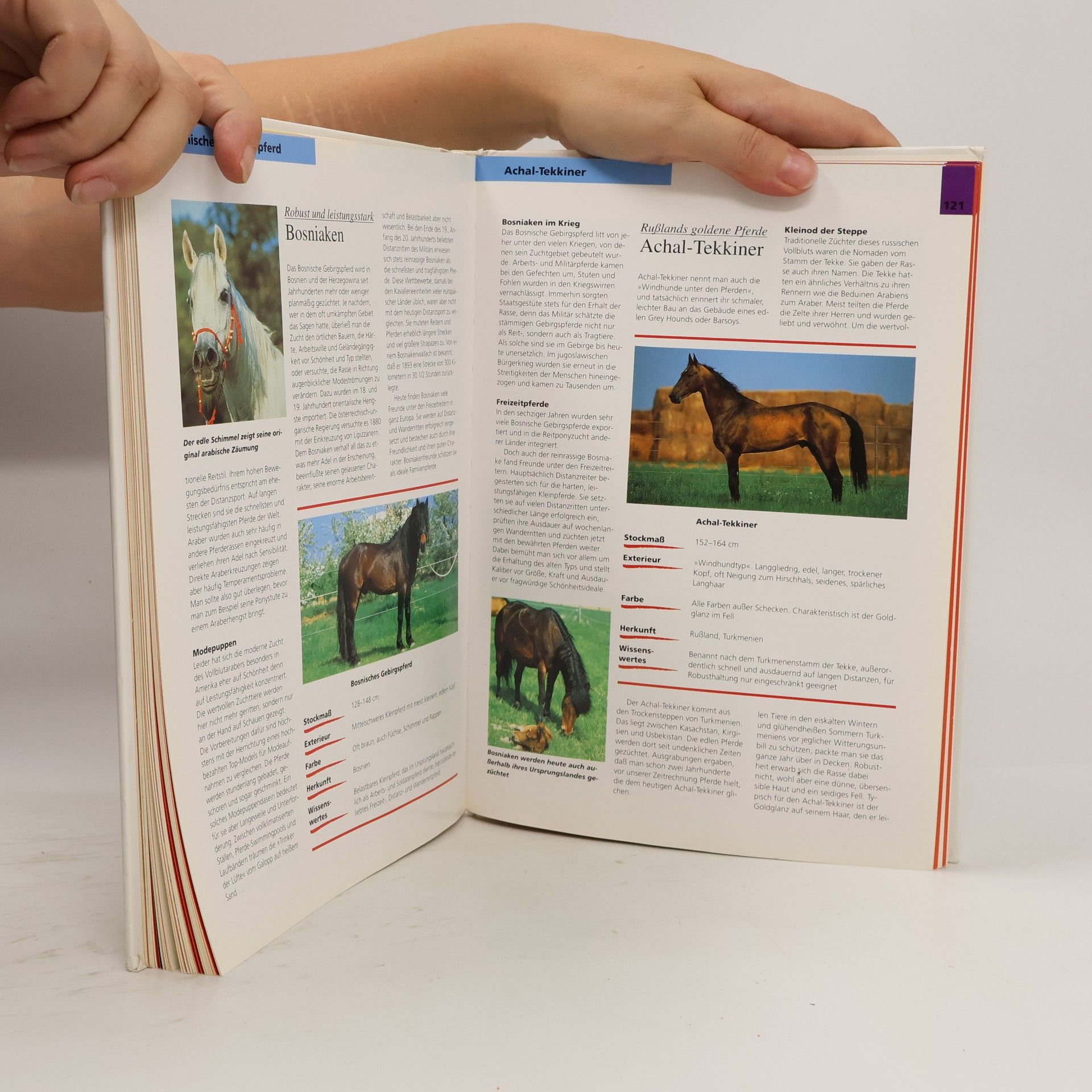 Christiane Gohl Das Kosmos-Buch der Pferde und Ponys