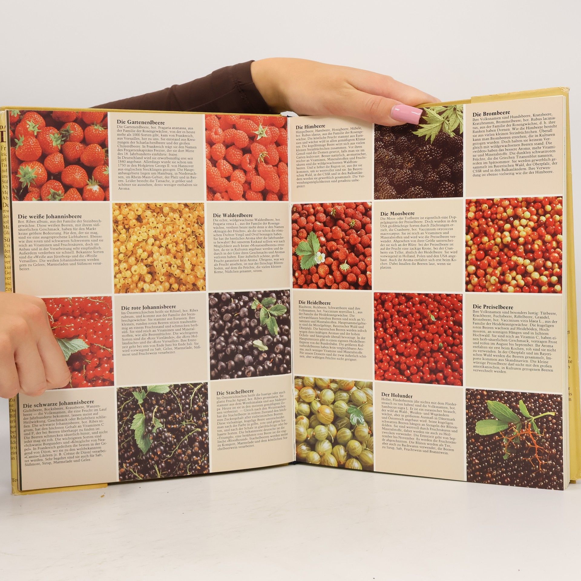 Christian Teubner Das große Buch der Desserts