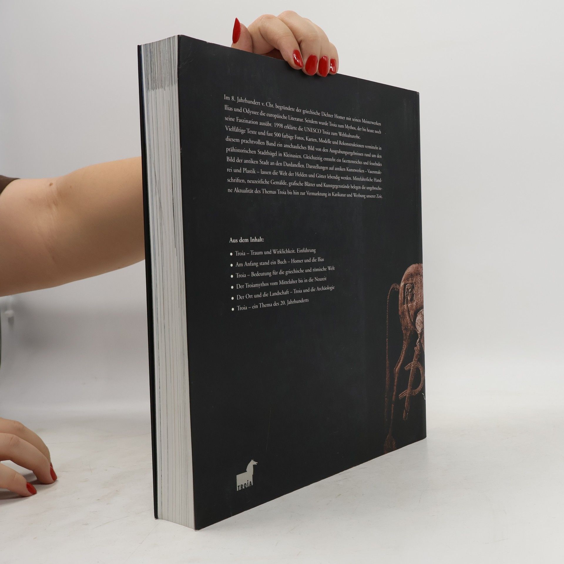 Autorenkollektiv Troia : Traum und wirklichkeit