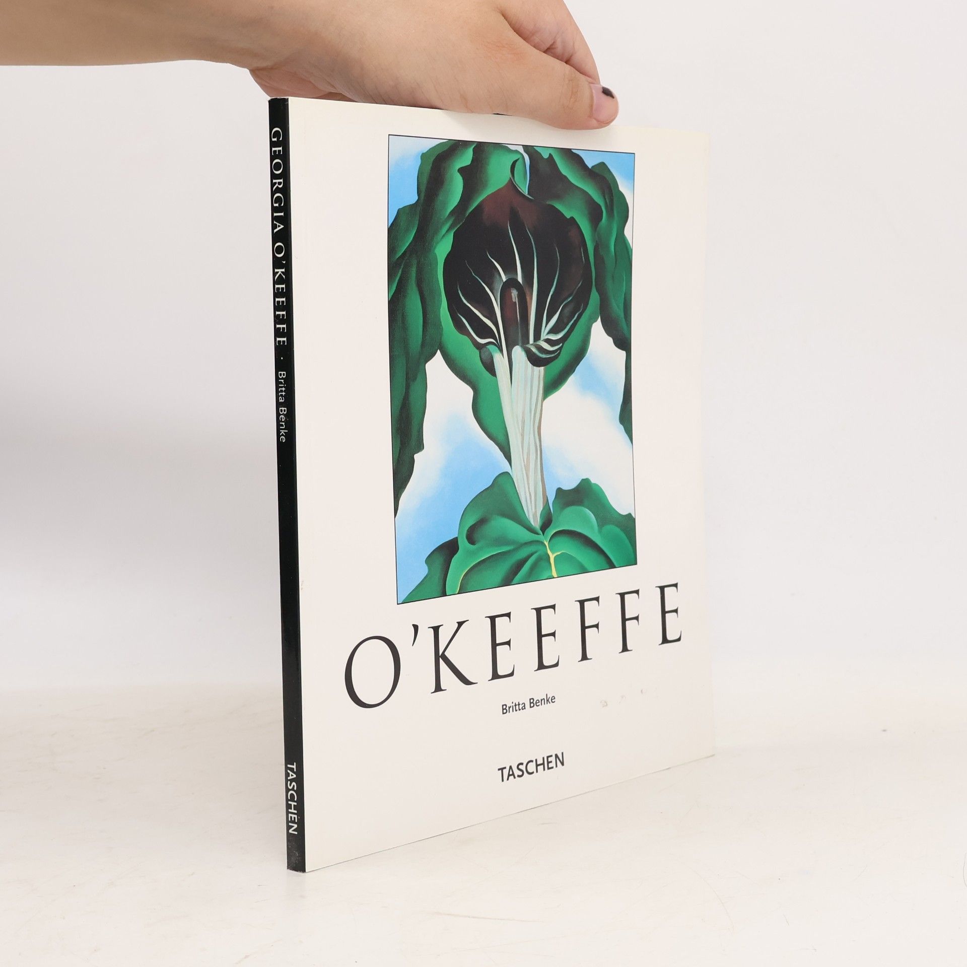 O'Keeffe. Kleine Reihe - Kunst