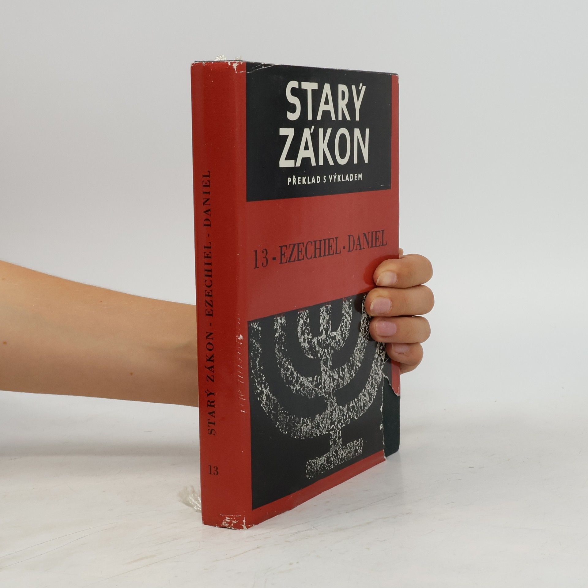 Kolektiv autorů Starý zákon. Překlad s výkladem 13. Ezechiel-Daniel