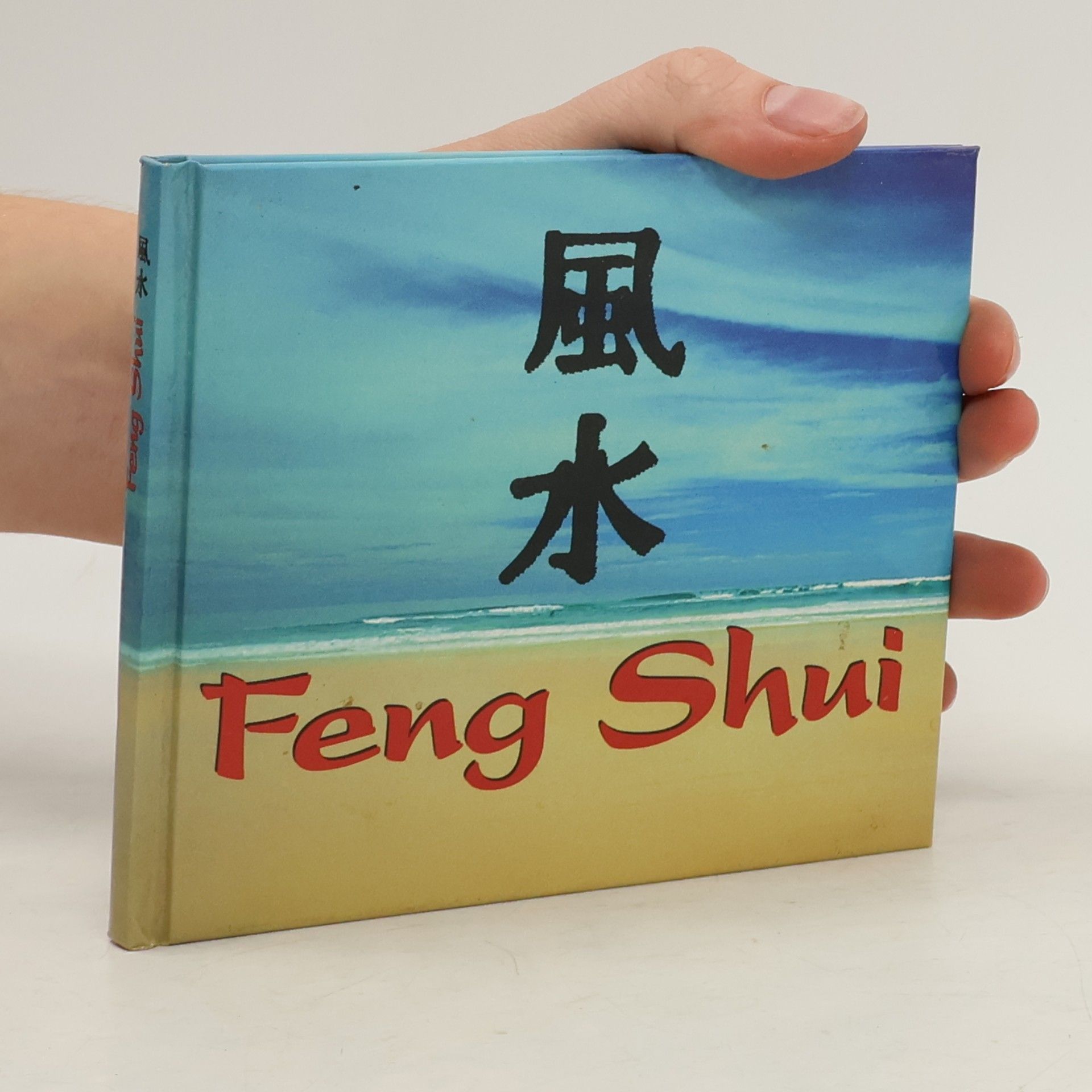 Miriam Schmidt Feng Shui