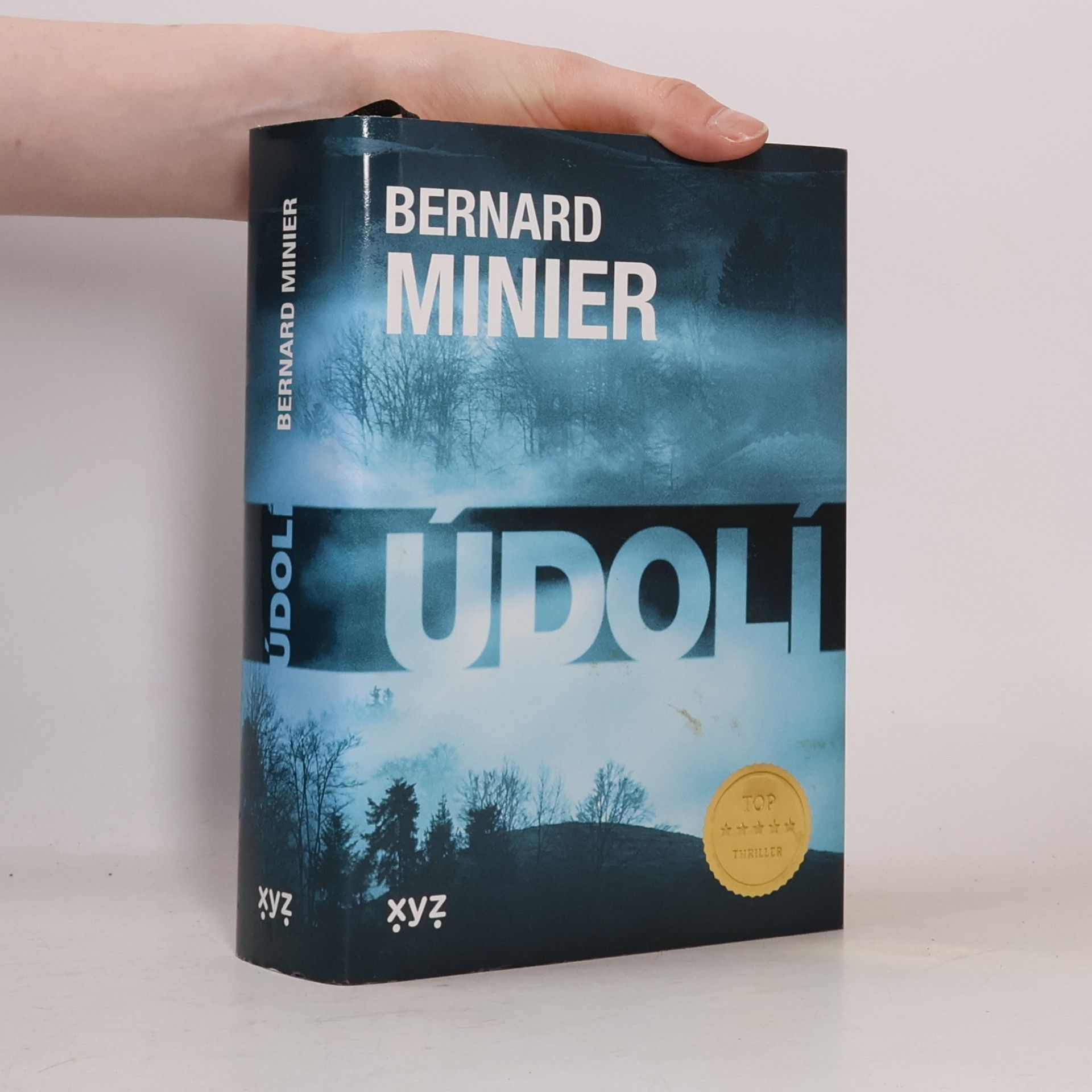 Bernard Minier Údolí