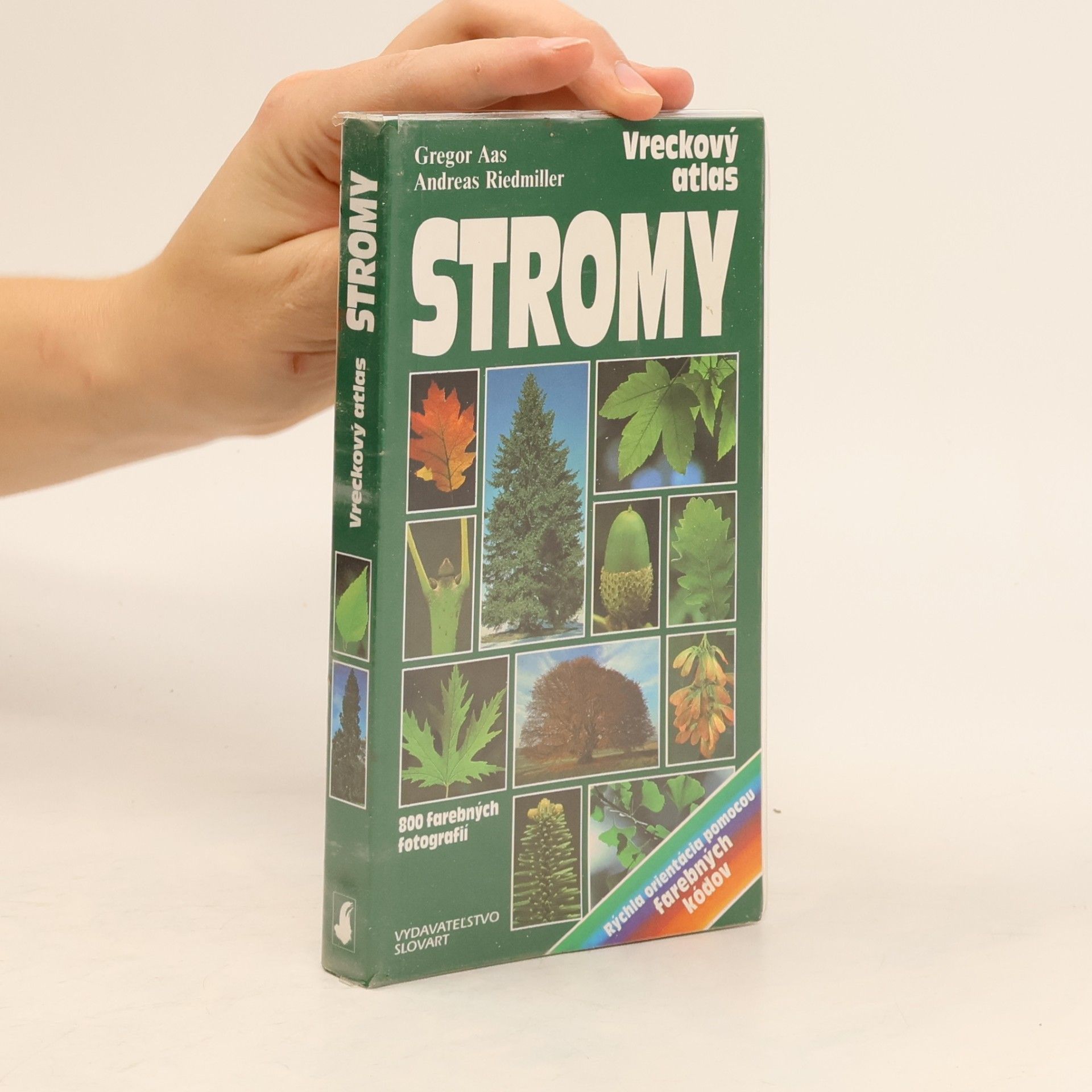Gregor Aas Stromy