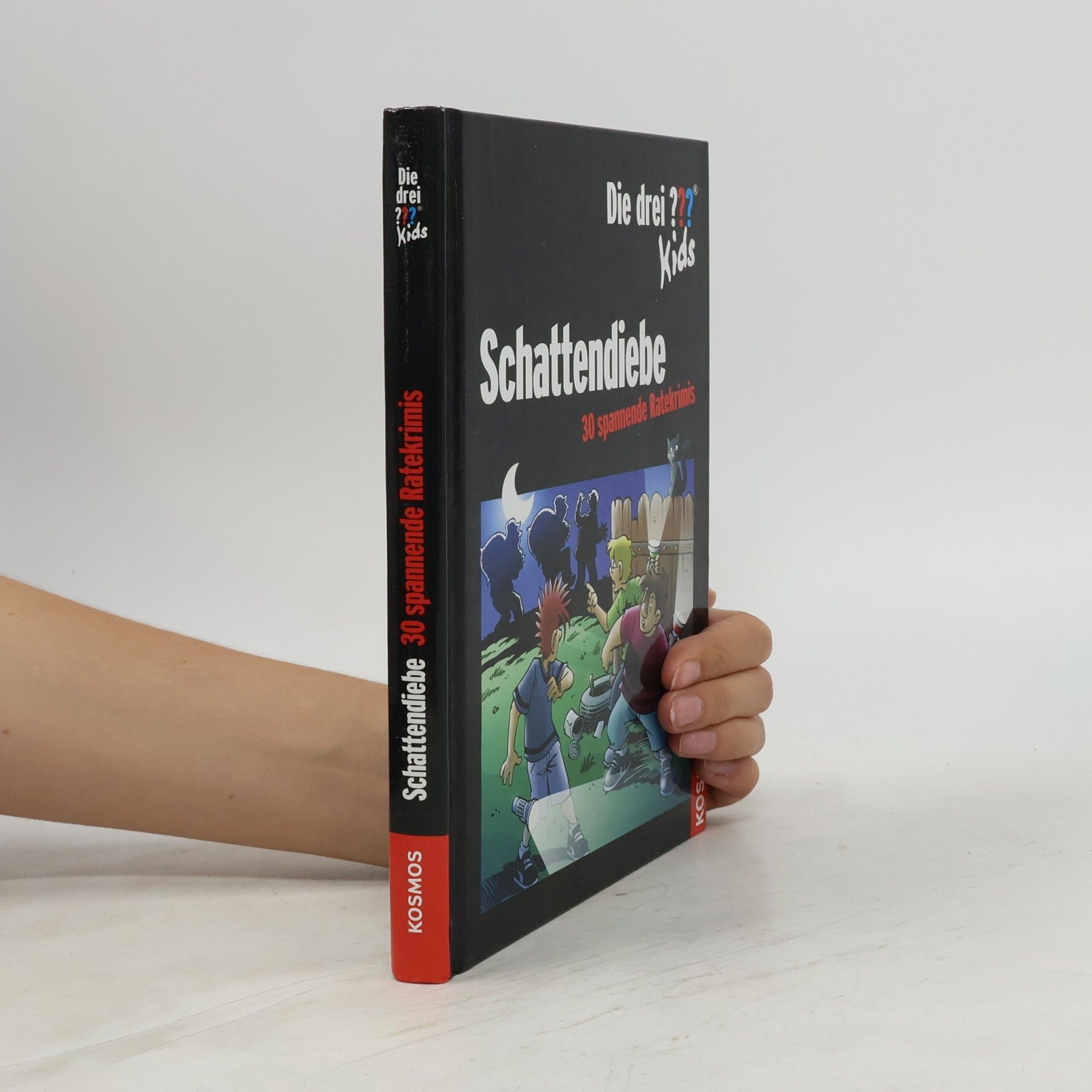 Die drei ??? - Kids - Schattendiebe