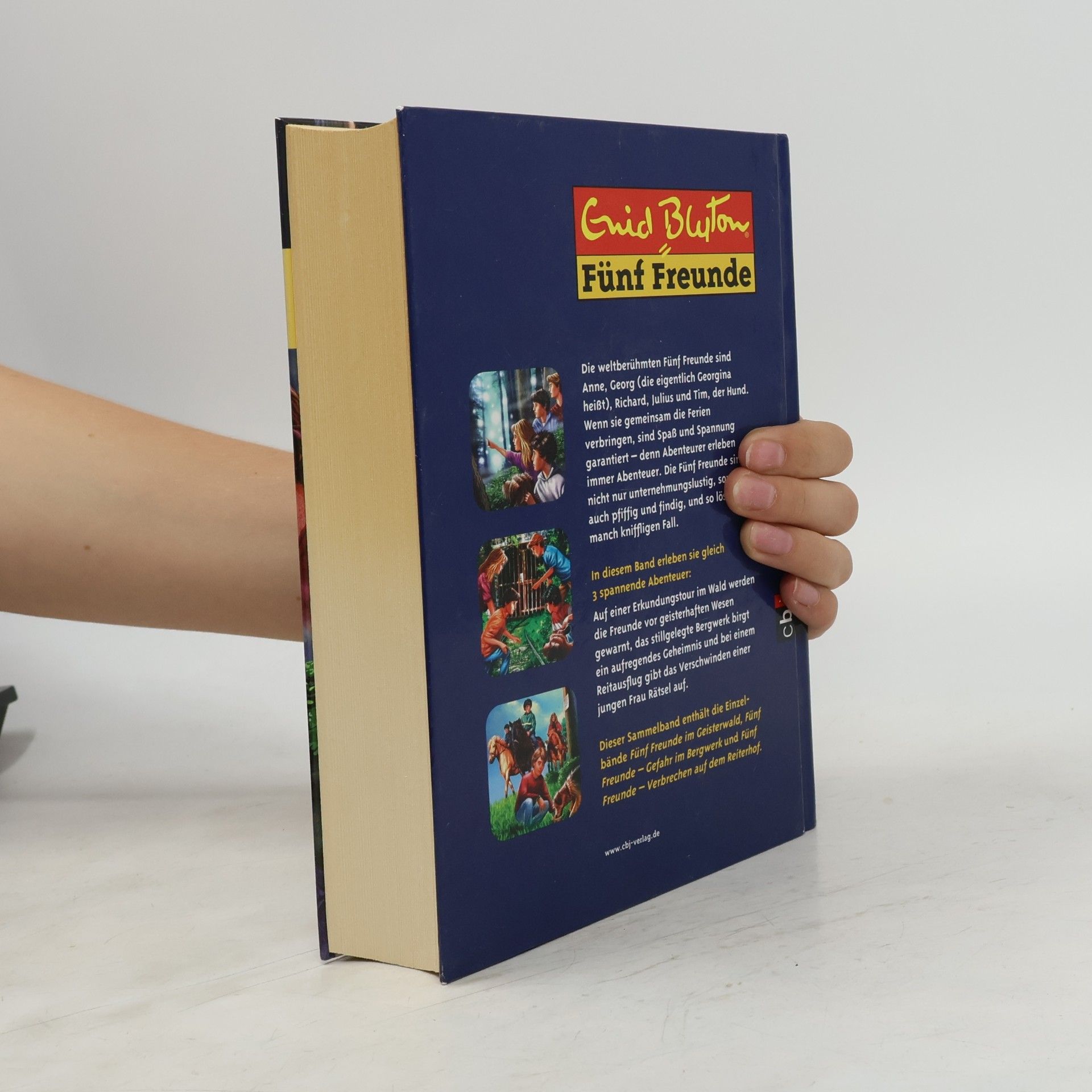 Enid Blyton Fünf Freunde. 3 Abenteuer in einem Band