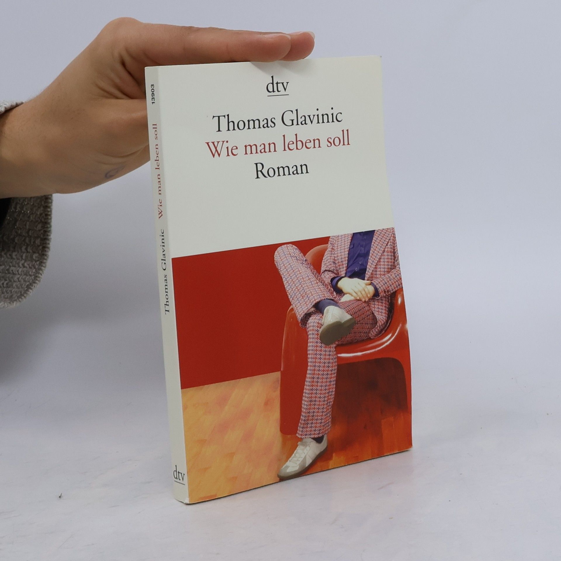 Thomas Glavinic Wie Man leben Soll