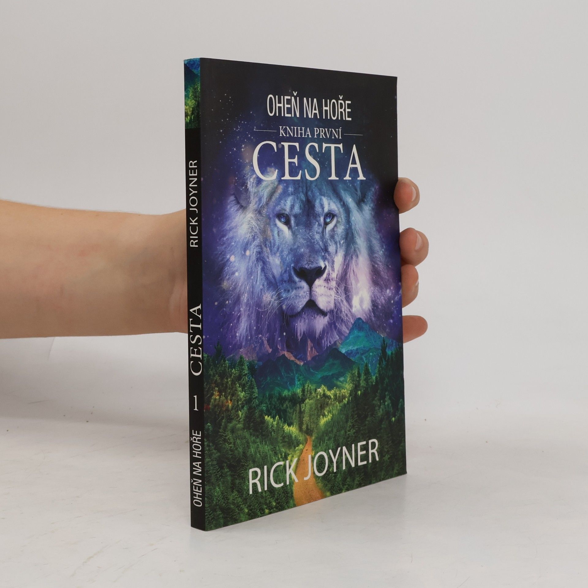 Rick Joyner Oheň na hoře. Kniha první, Cesta