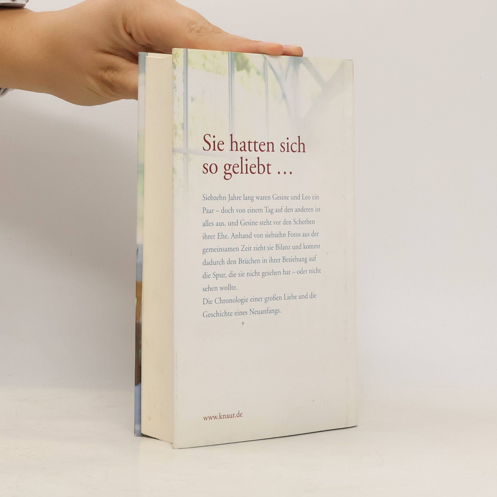 Annette Hohberg Alles, was bleibt