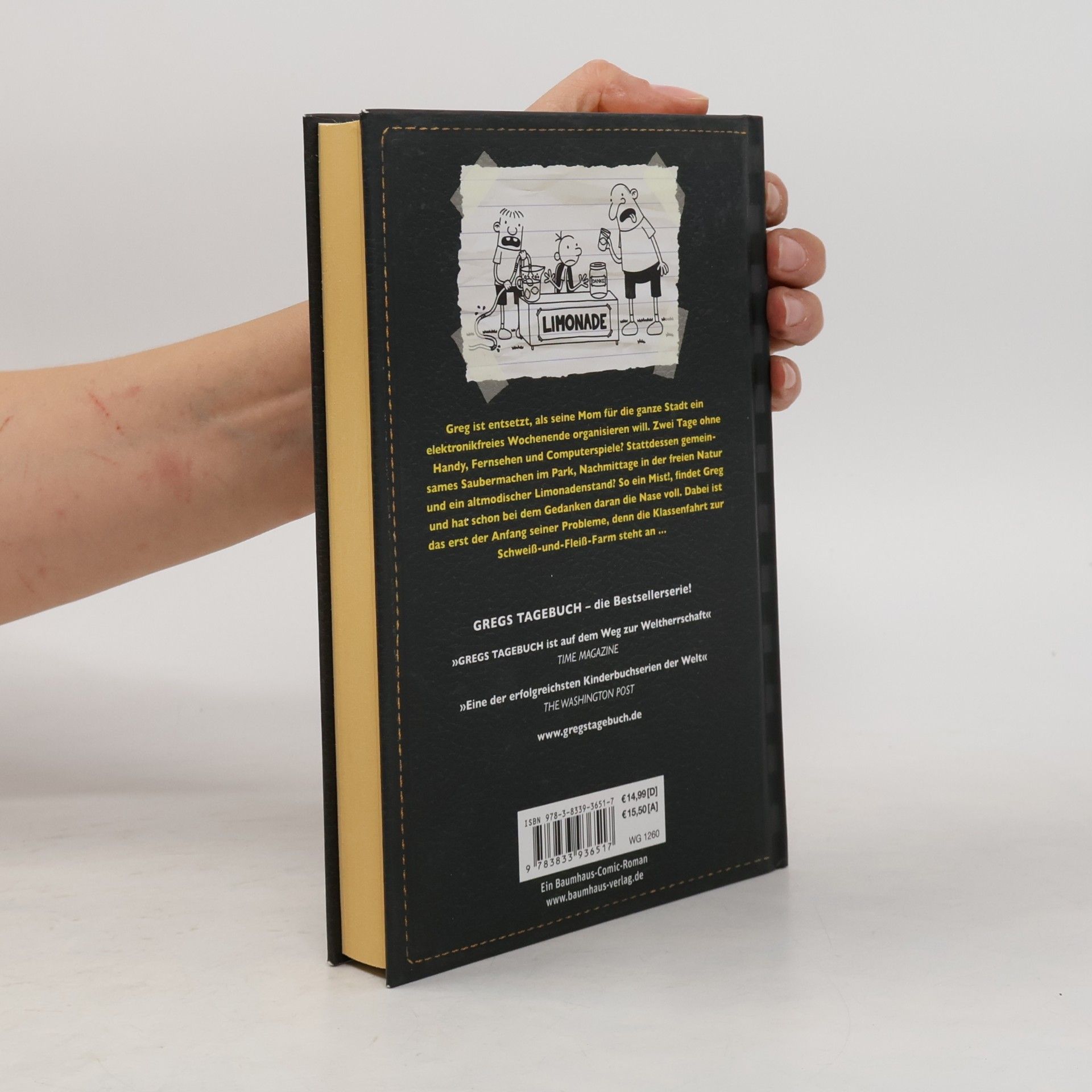 Dietmar Schmidt-Tapken Gregs Tagebuch 10. So ein Mist!