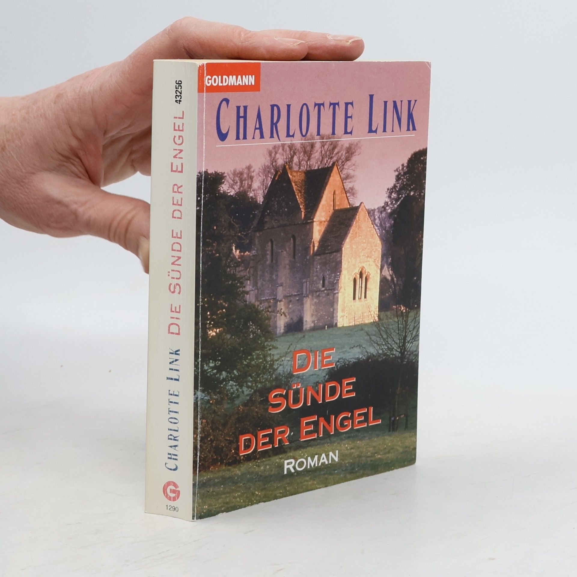 Charlotte Link Die Sünde der Engel