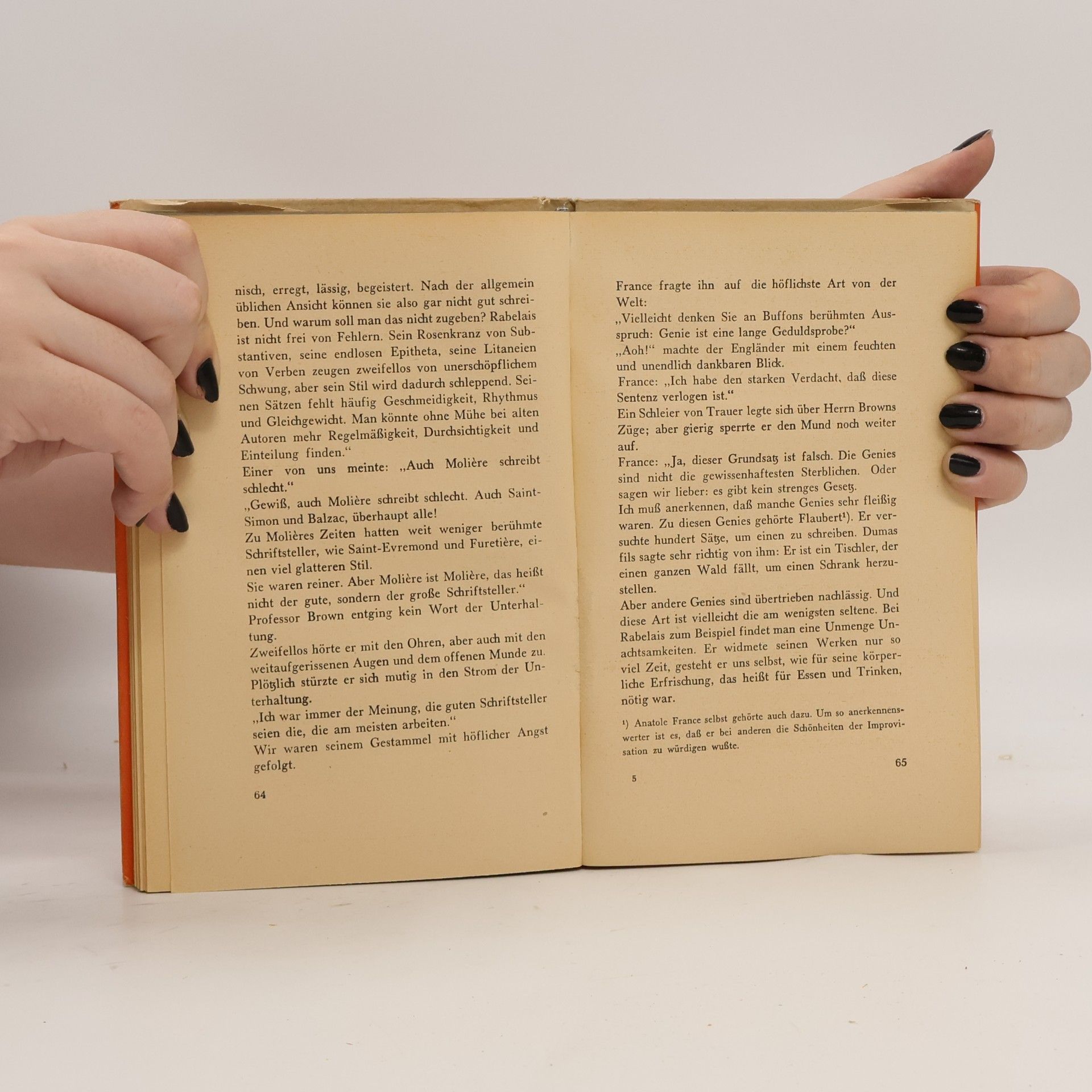 Anatole France Die Vormittage der Villa Said