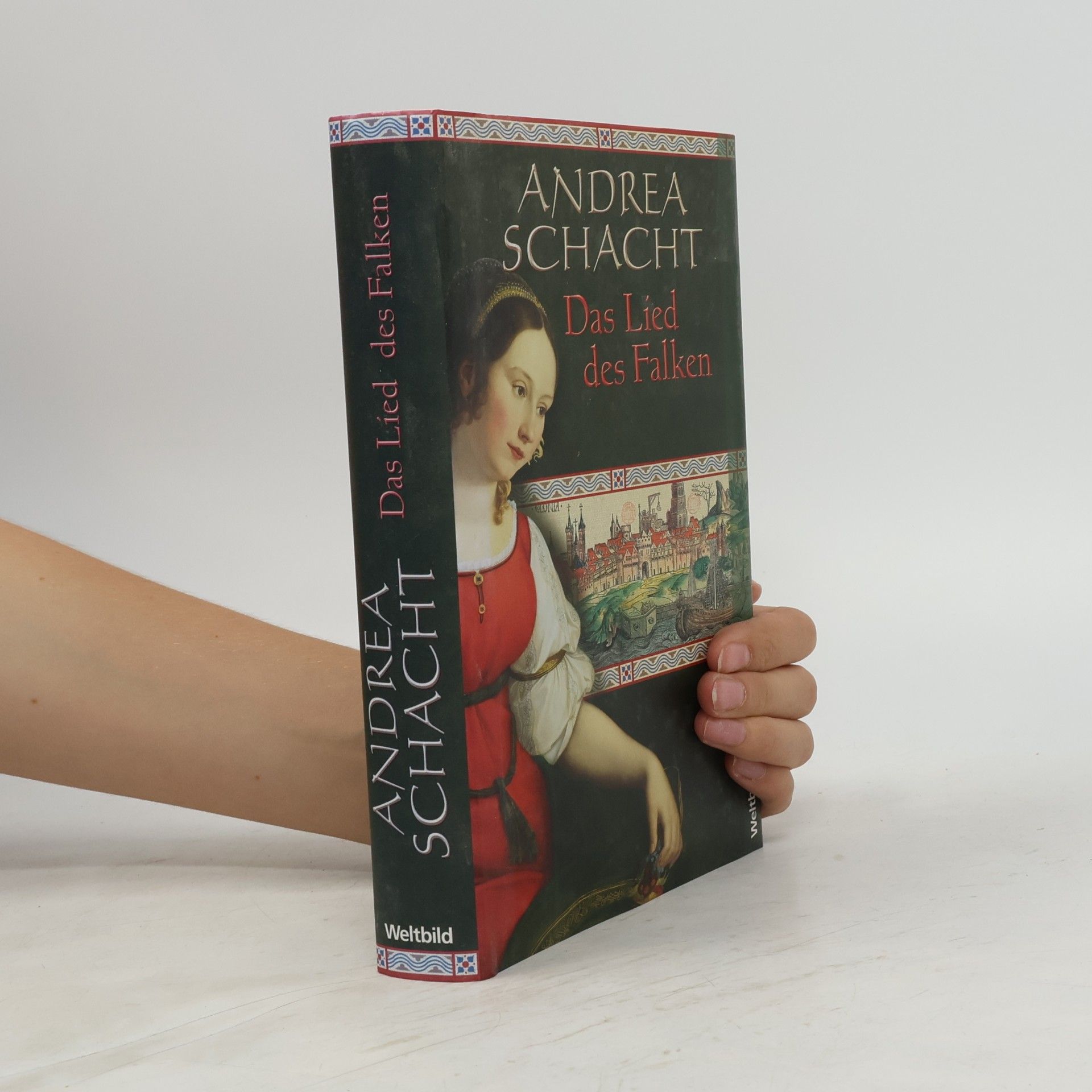 Andrea Schacht Das Lied des Falken