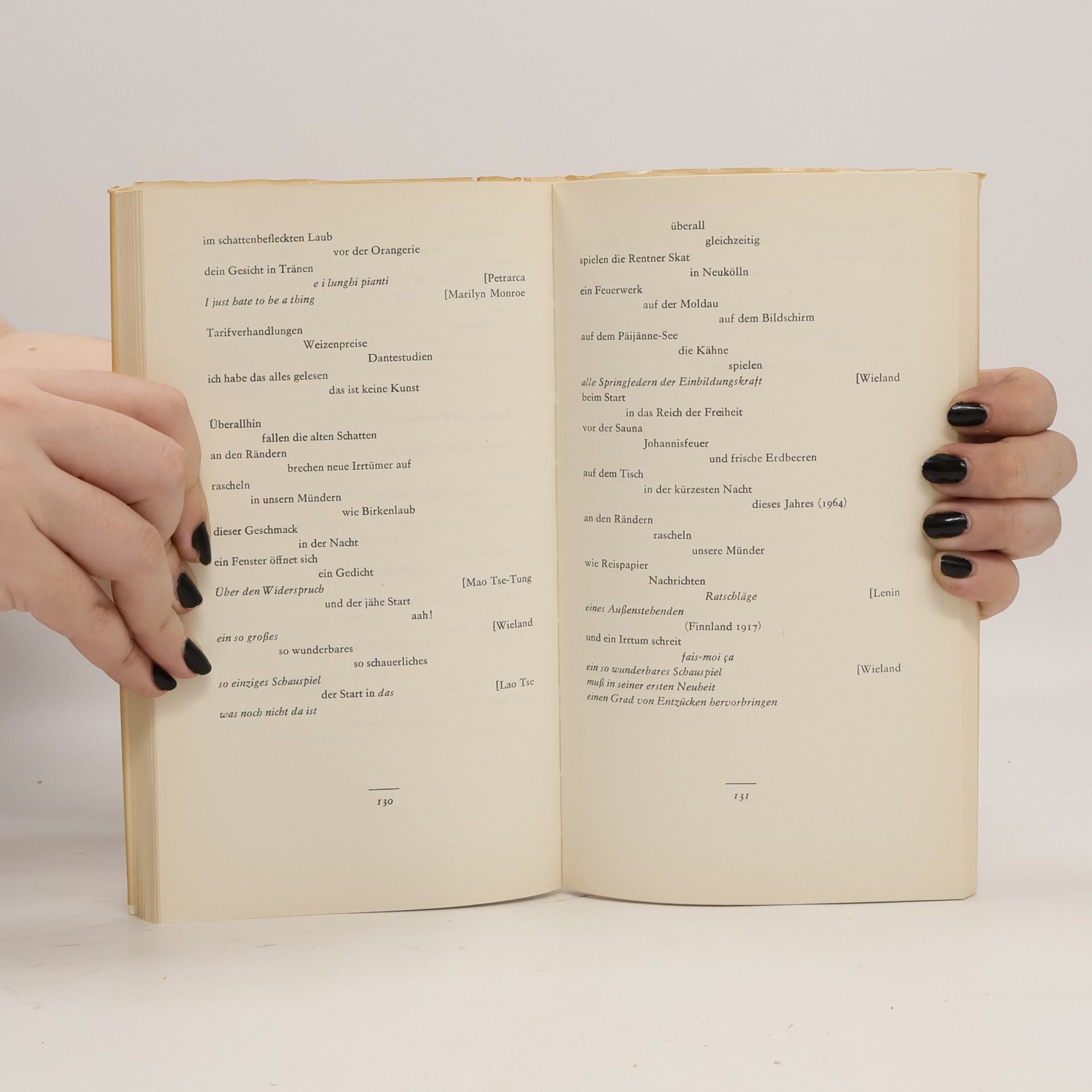 Hans Magnus Enzensberger Beschreibung eines Dickichts