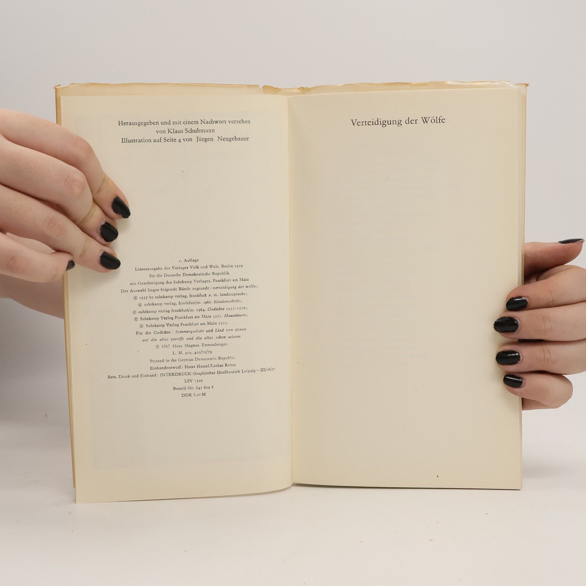 Hans Magnus Enzensberger Beschreibung eines Dickichts