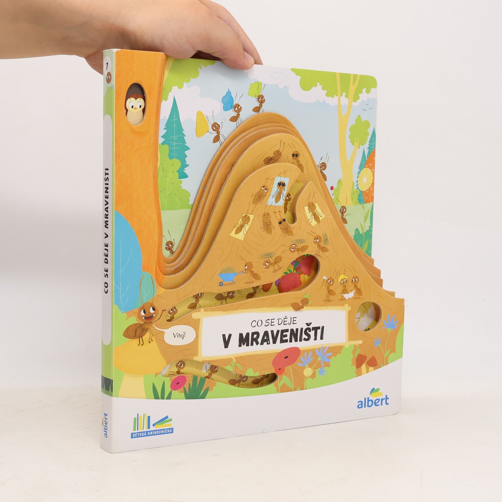 Autorenkollektiv Co se děje v mraveništi