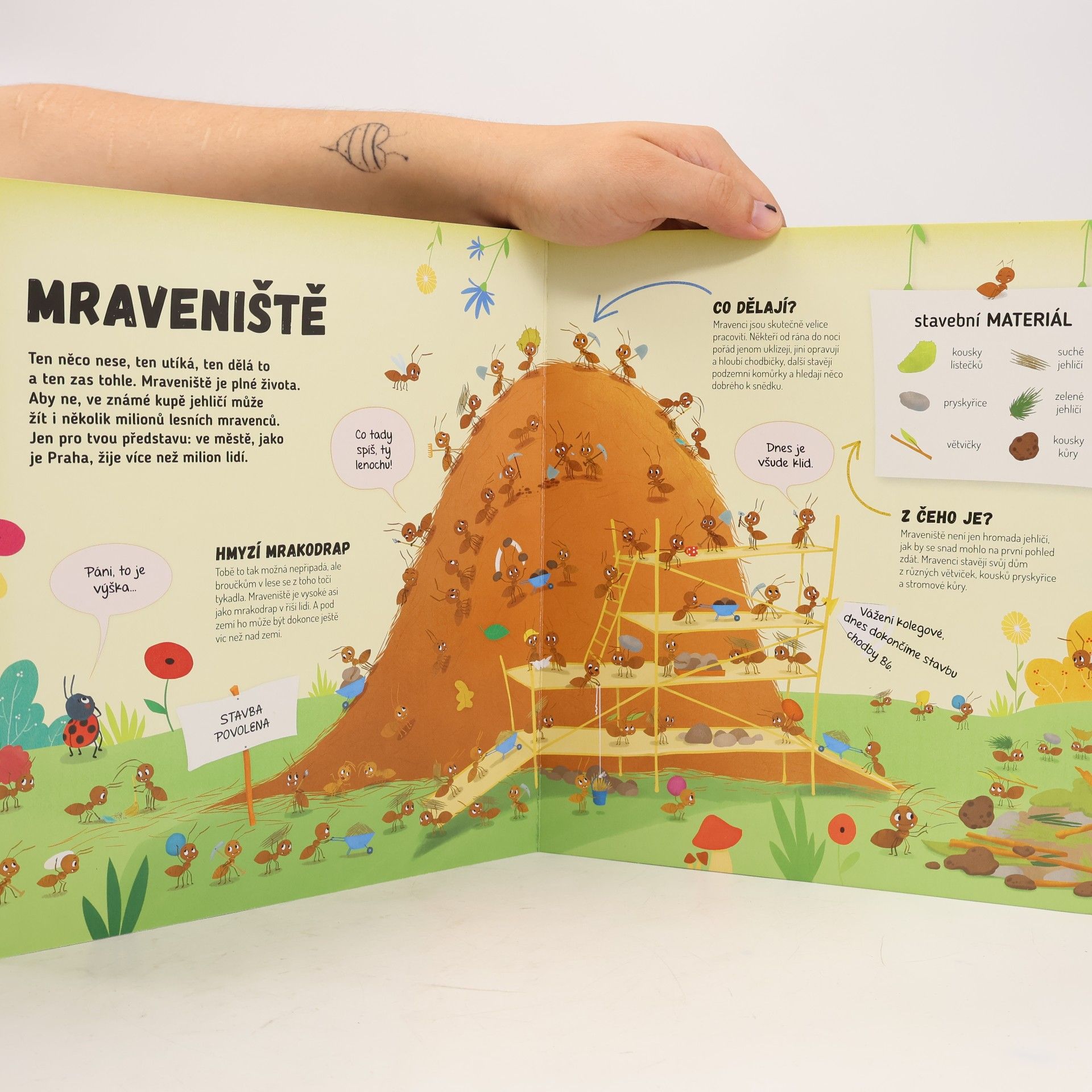 Autorenkollektiv Co se děje v mraveništi