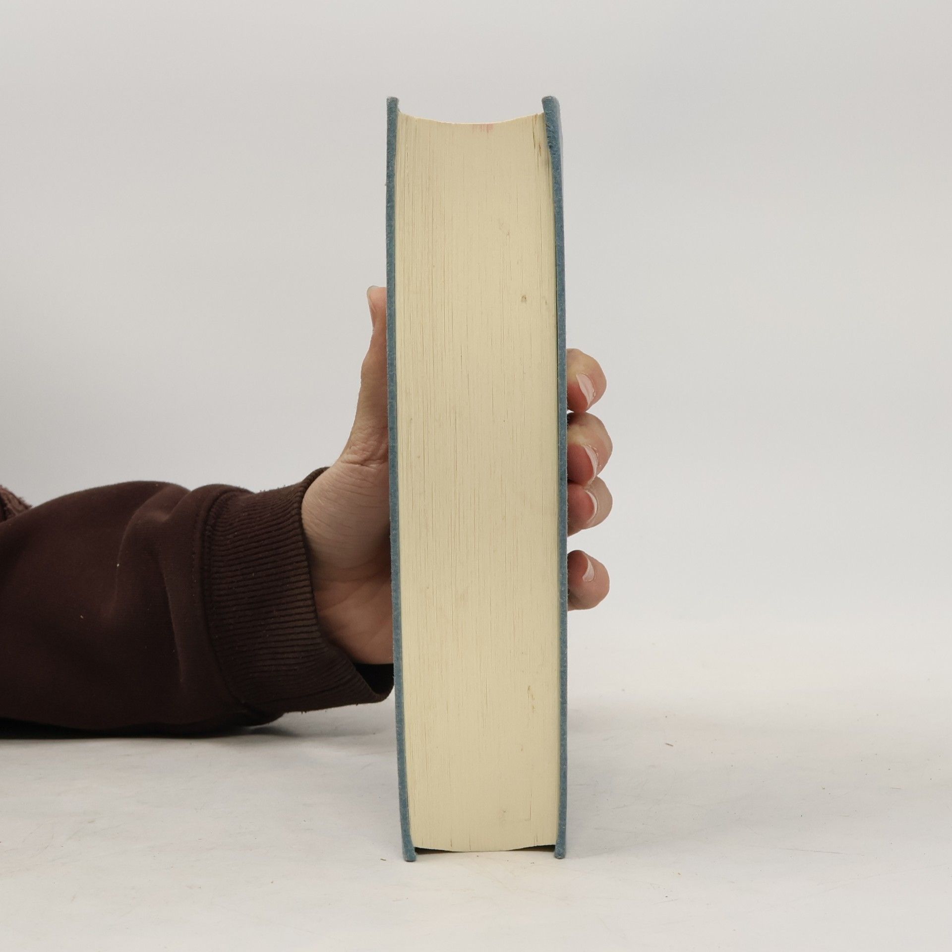 Günter Grass Studienausgabe - 6: Der Butt