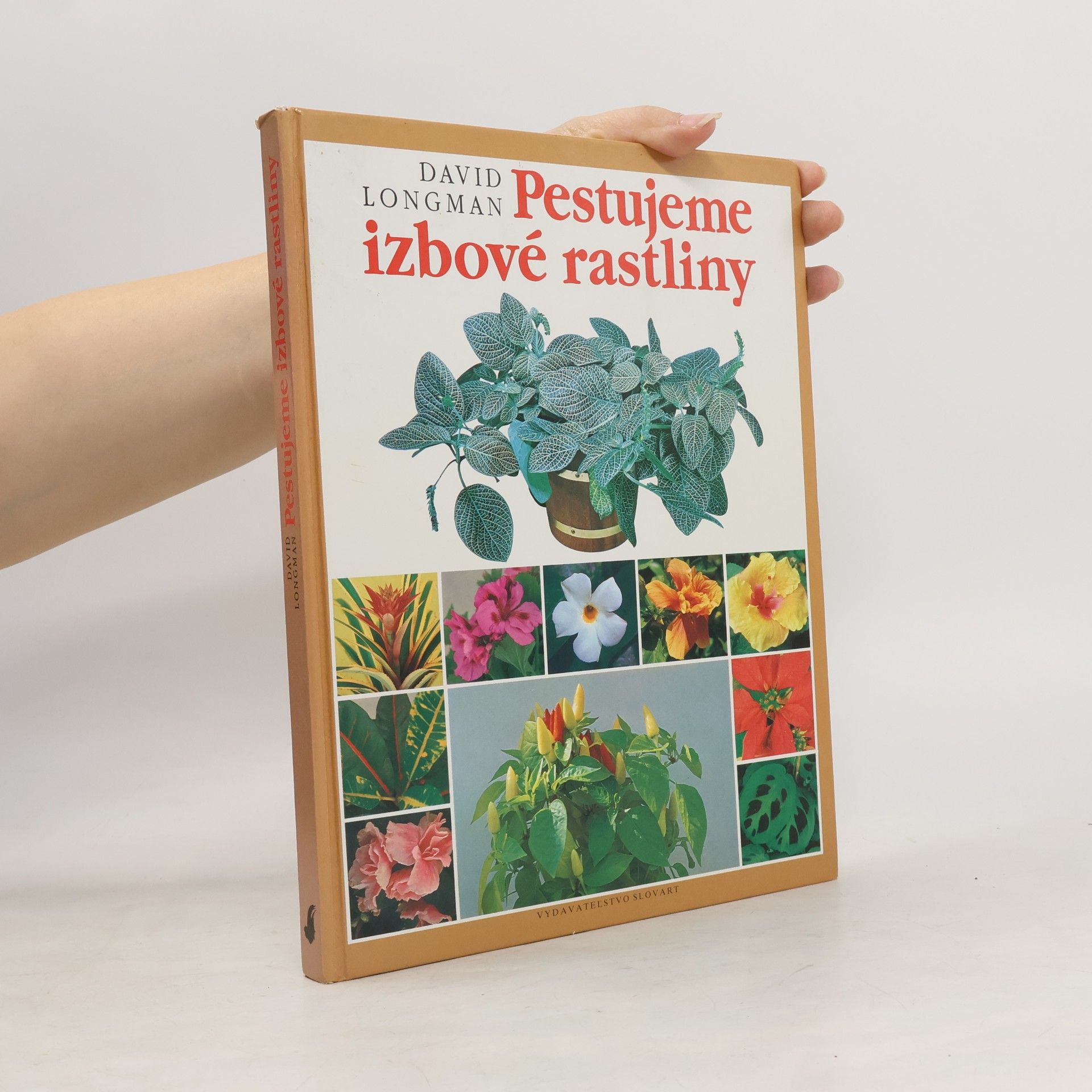 David Longman Pestujeme izbové rastliny