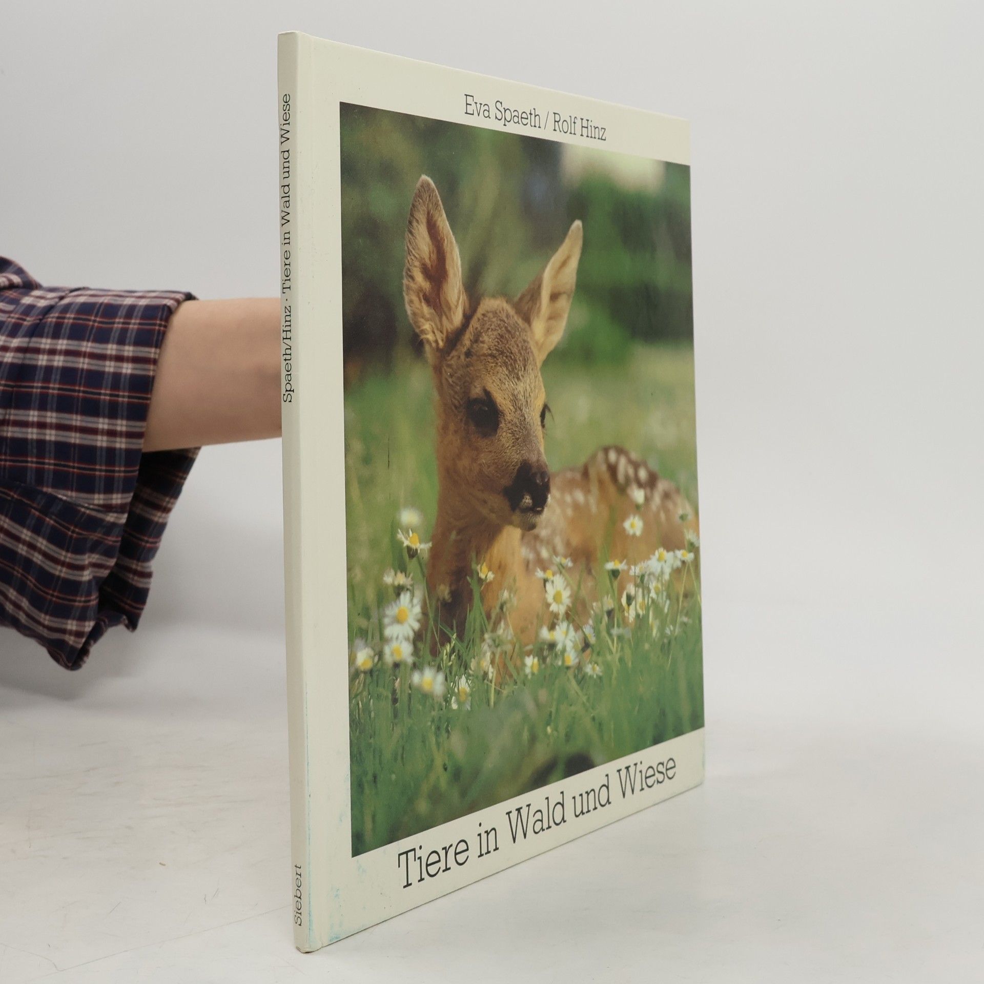 Tiere in Wald und Wiese (tiere)