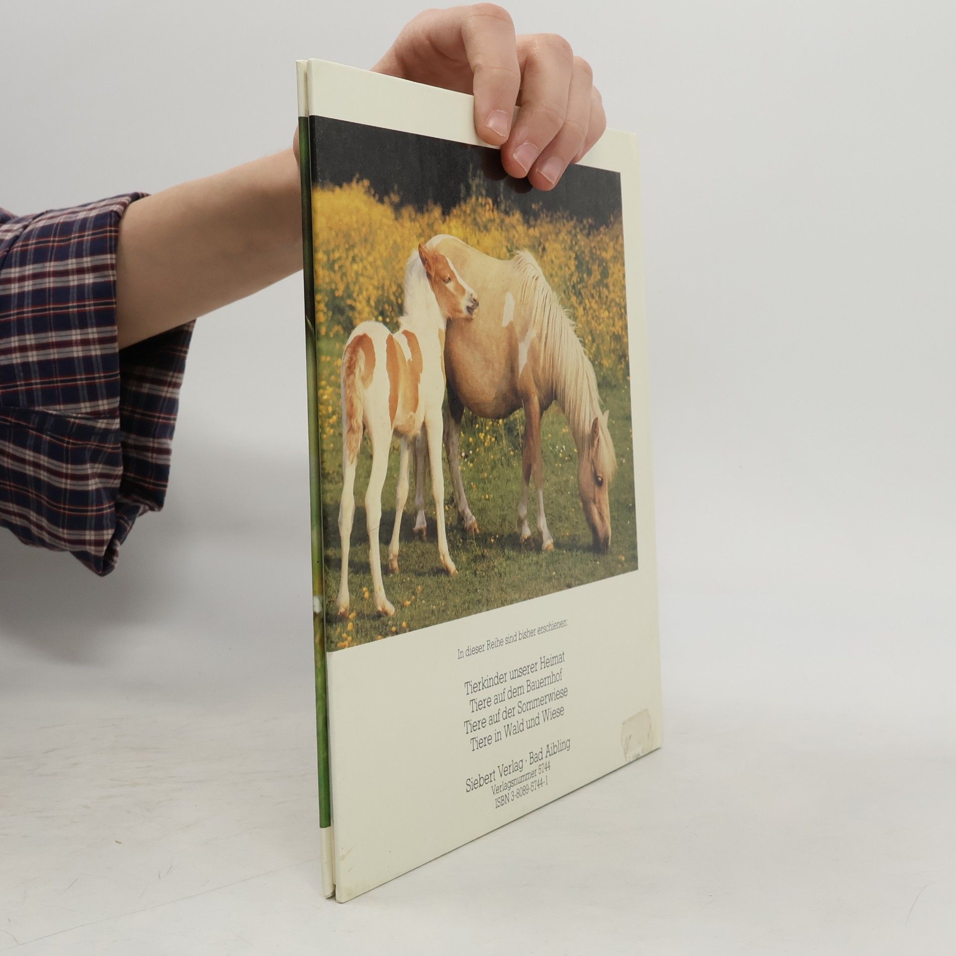Tiere in Wald und Wiese (tiere)