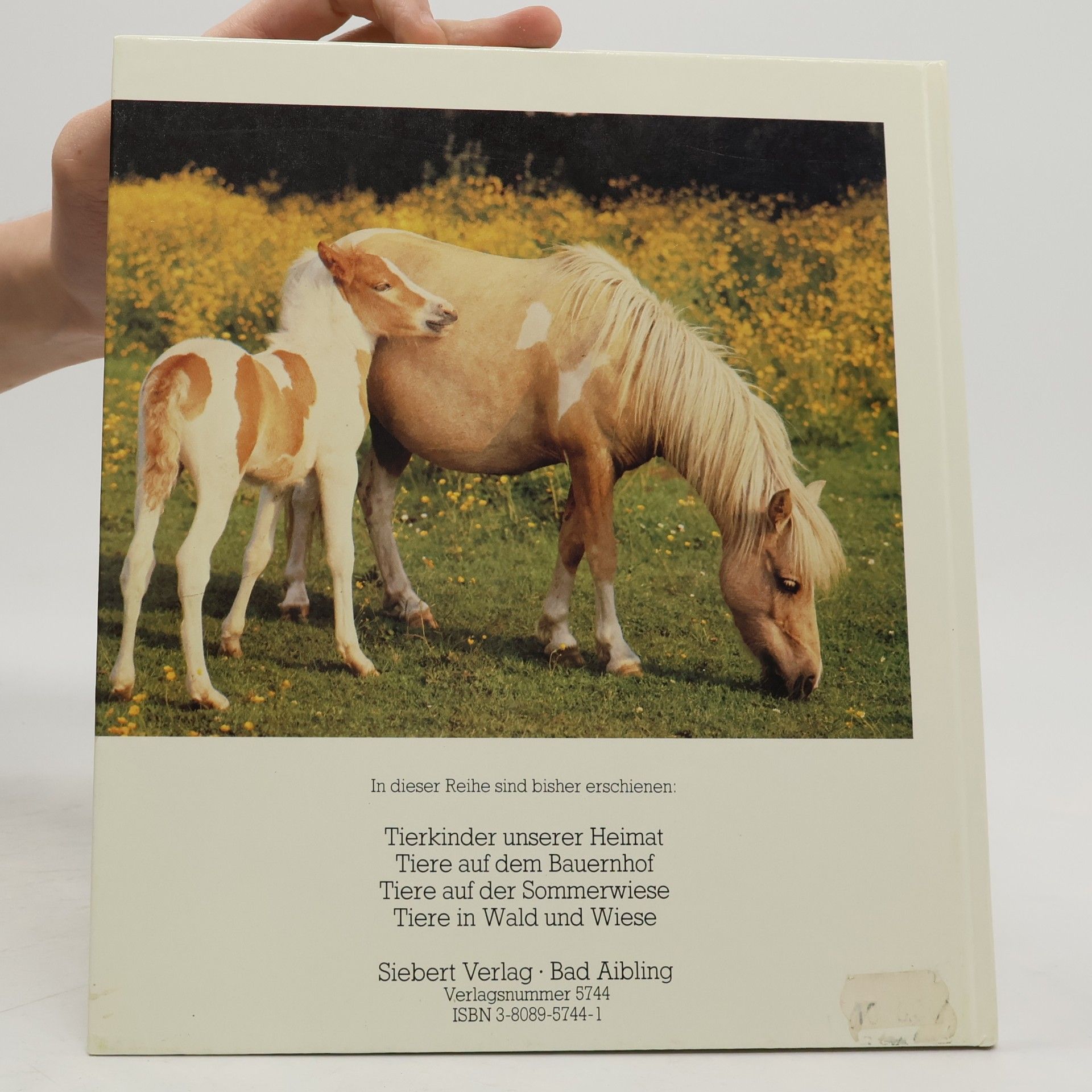 Tiere in Wald und Wiese (tiere)