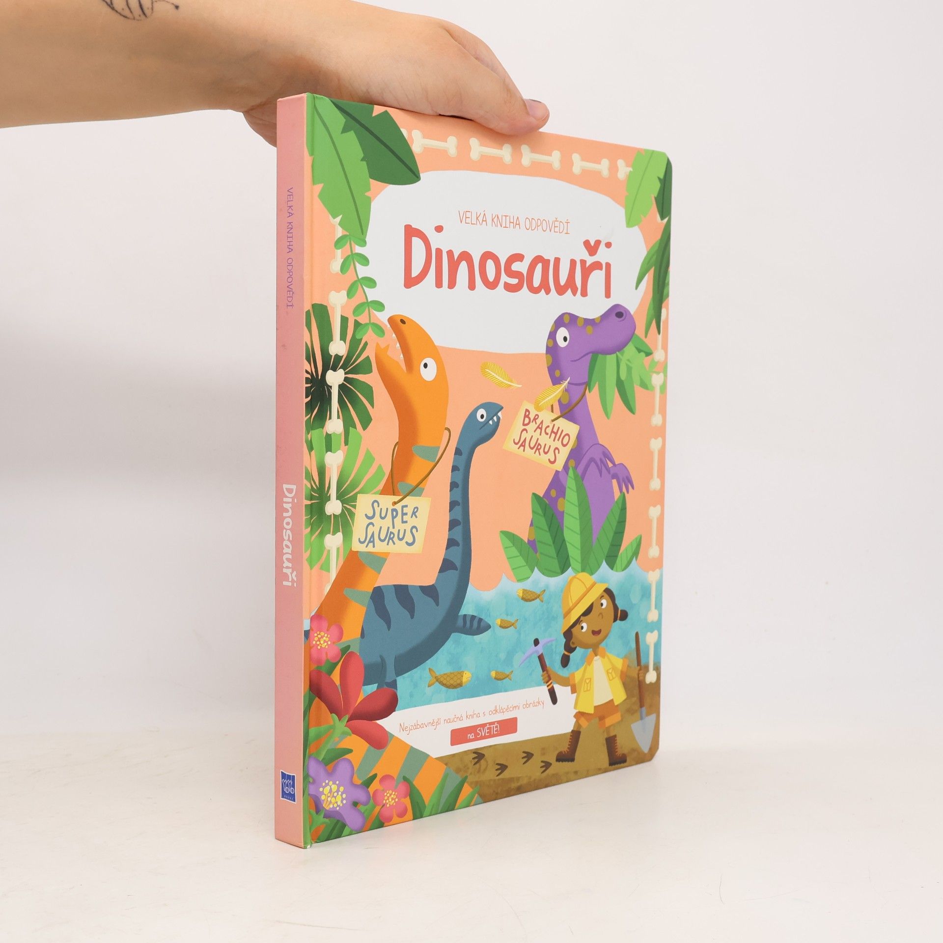 Autorenkollektiv Velká kniha odpovědí: Dinosauři