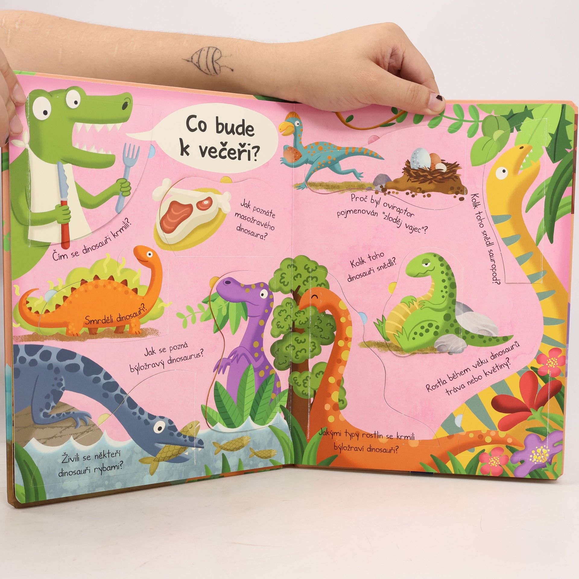 Autorenkollektiv Velká kniha odpovědí: Dinosauři