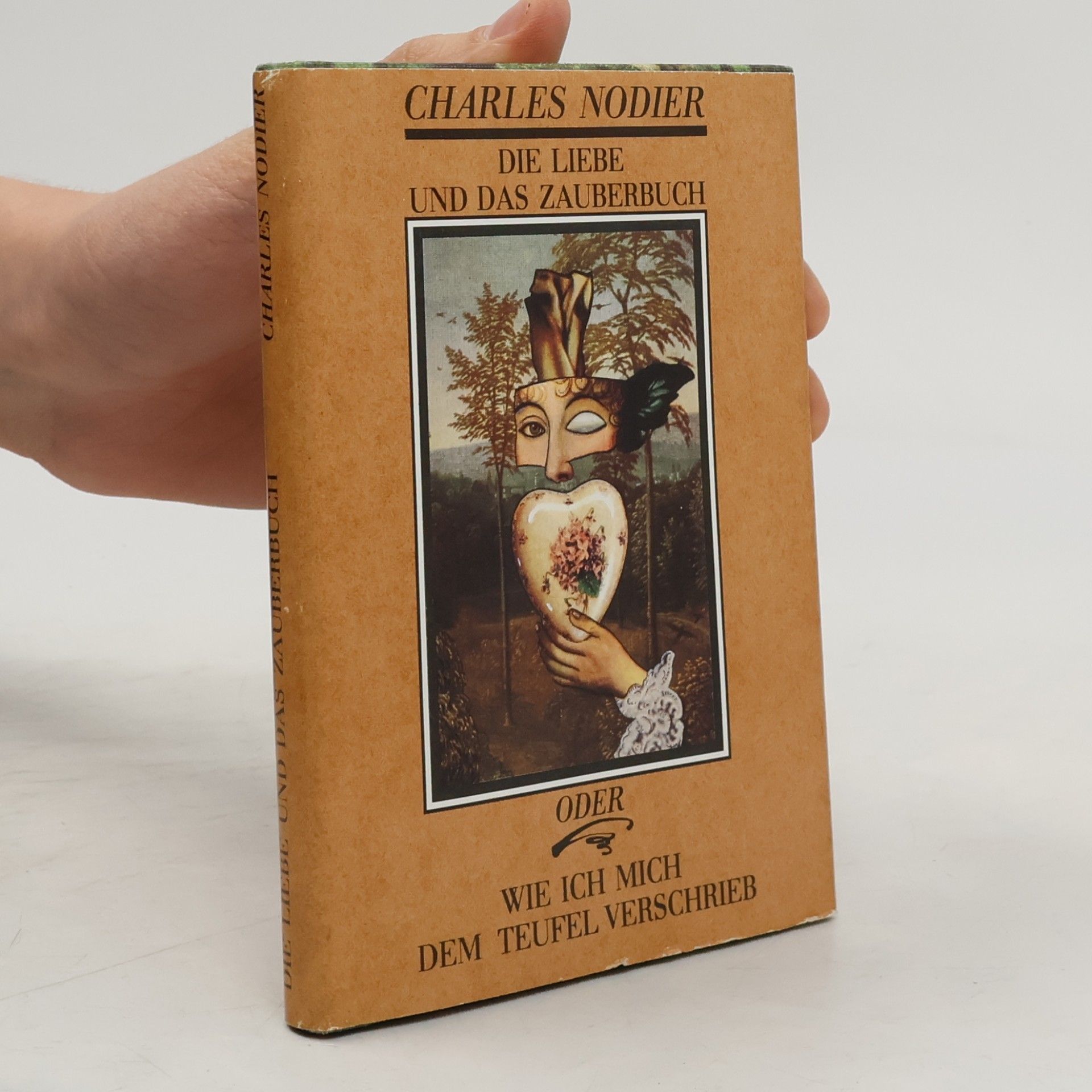 Unknown Author Die Liebe und das Zauberbuch. Oder wie ich mich dem Teufel verschrieb