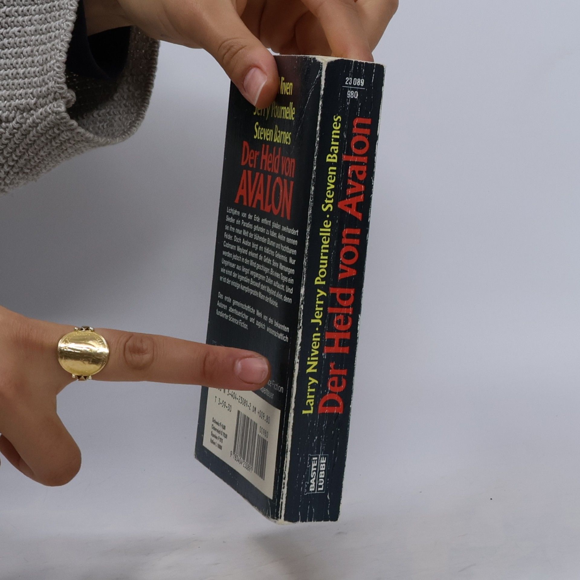 Larry Niven Der Held von Avalon