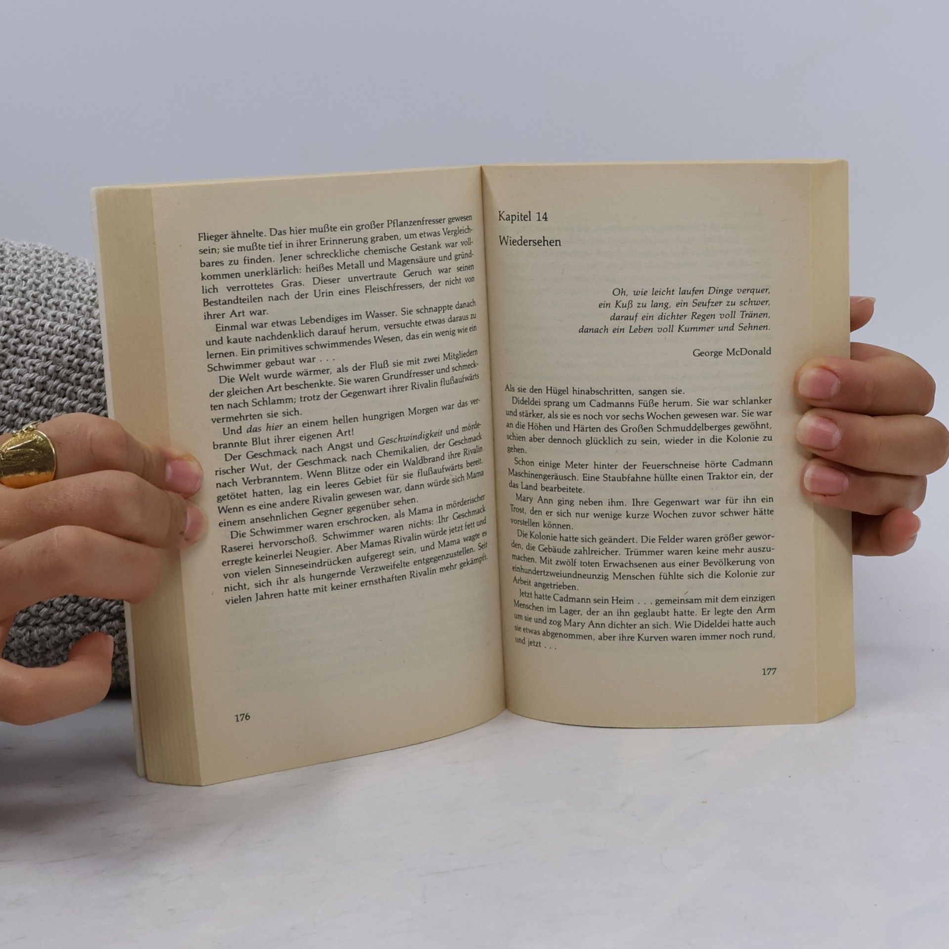 Larry Niven Der Held von Avalon