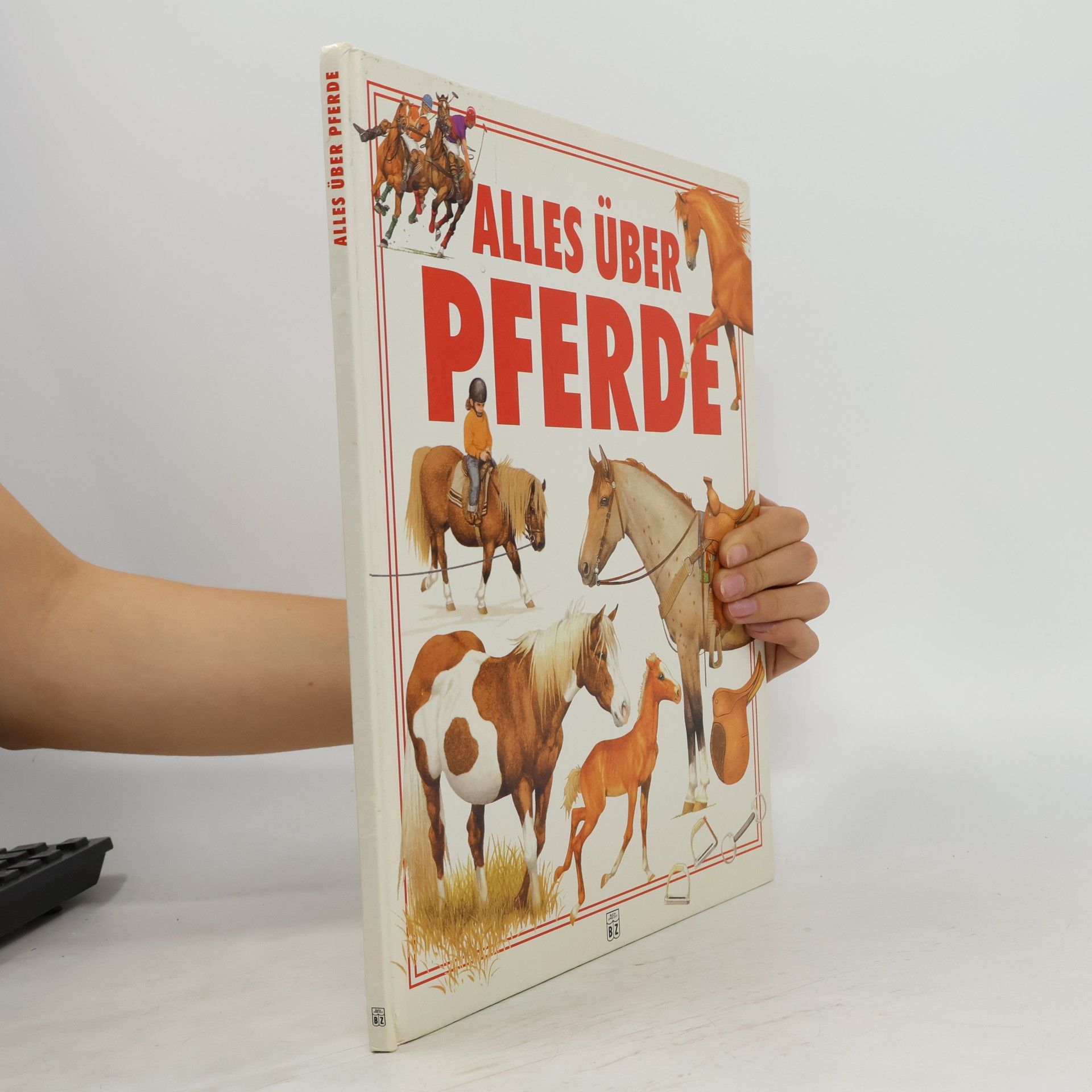 Collectif d'auteurs Alles Über Pferde