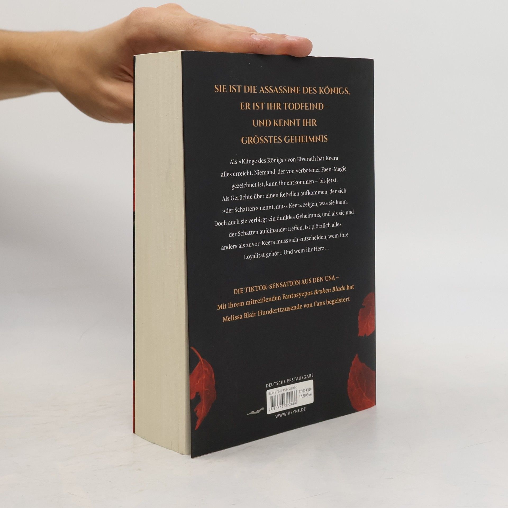 Melissa Blair Broken Blade – Die Klinge des Königs