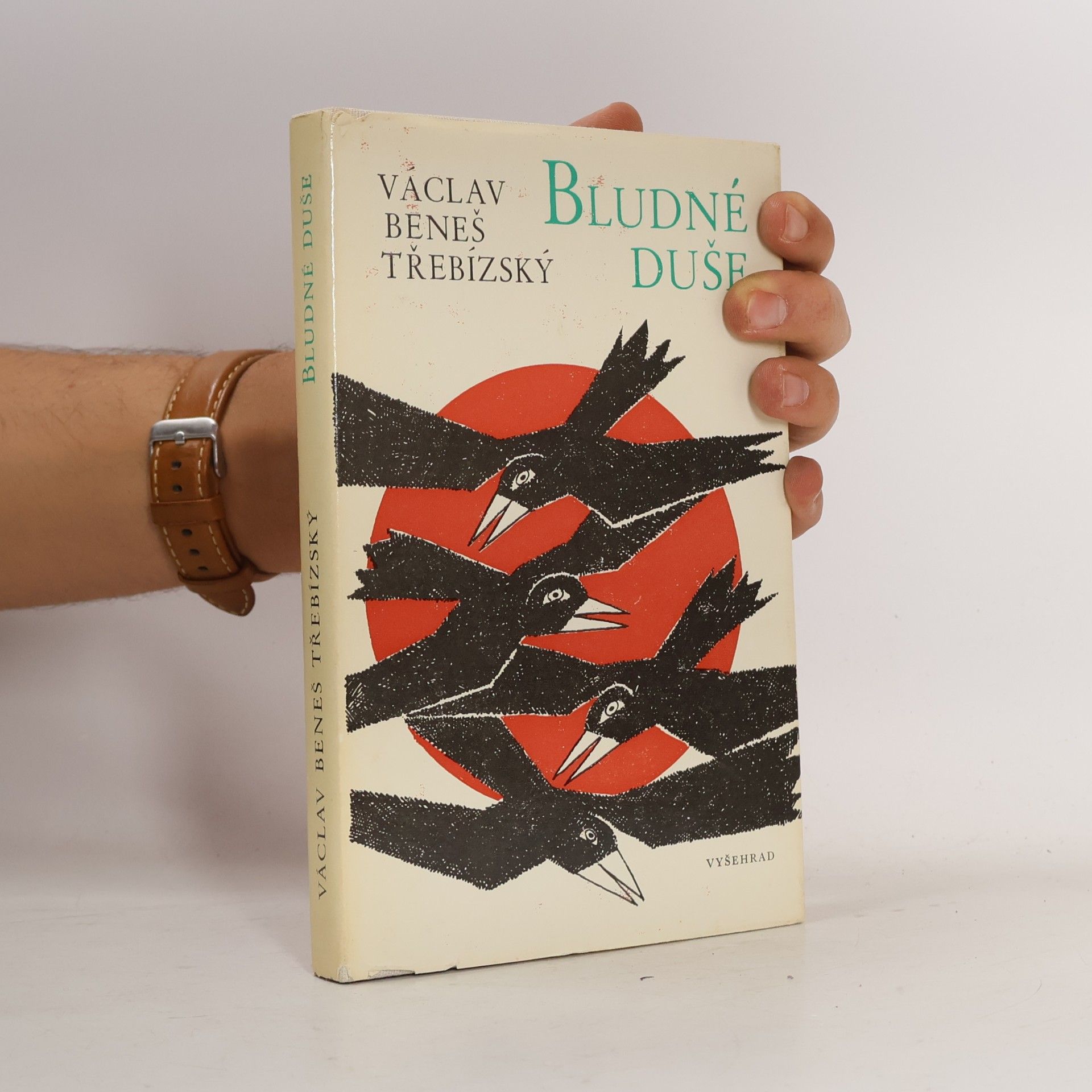 Václav Beneš Třebízský Bludné duše