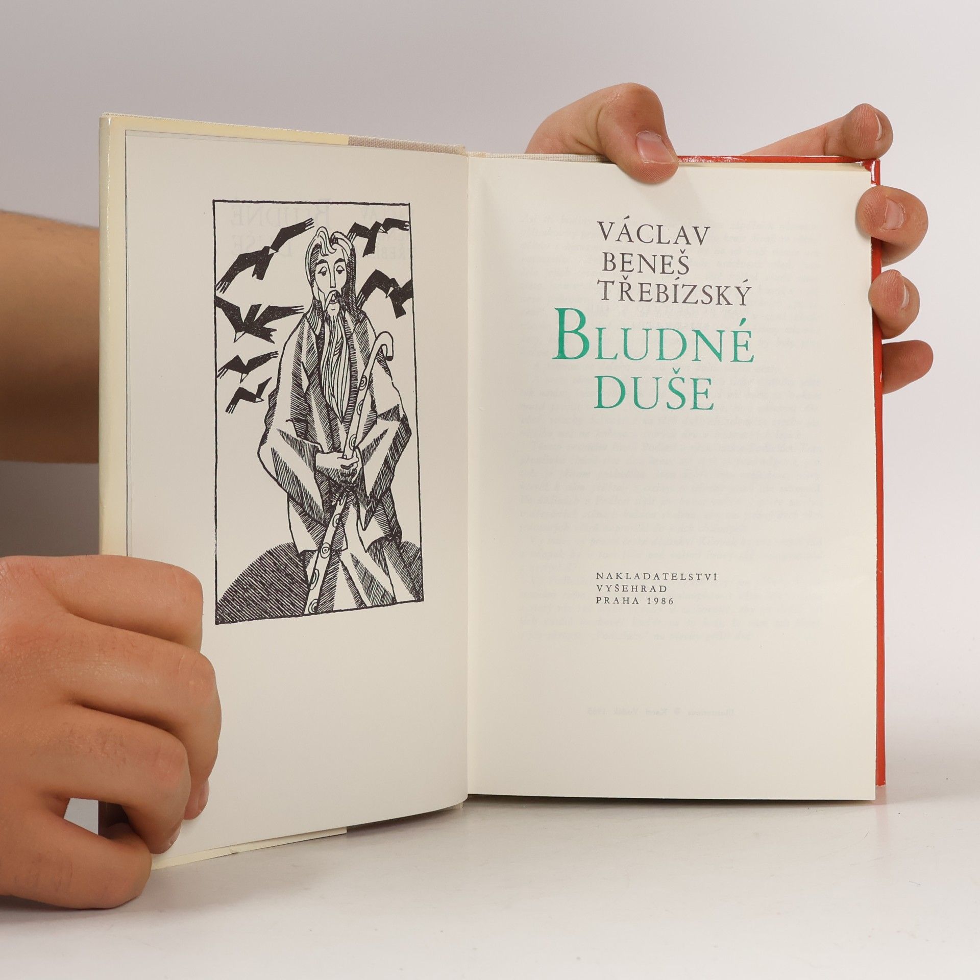 Václav Beneš Třebízský Bludné duše
