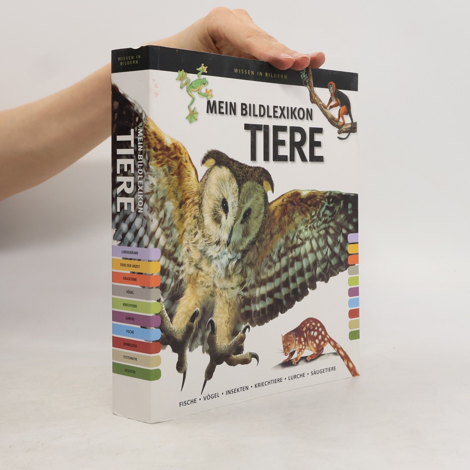 kolektiv Mein Bildlexikon Tiere
