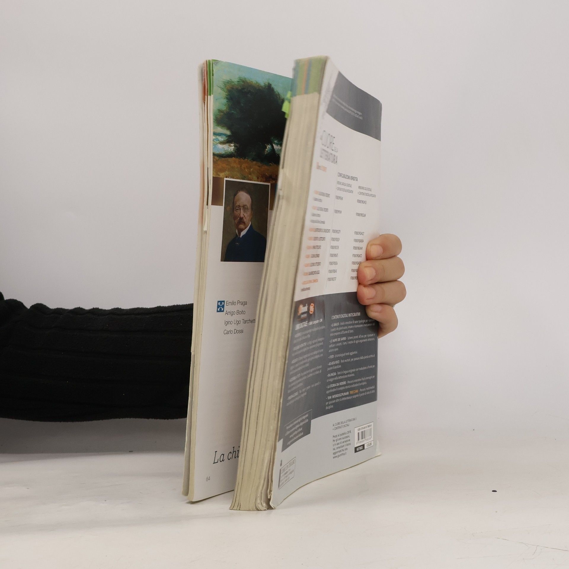 Roberto Carnero Al Cuore della letteratura 5